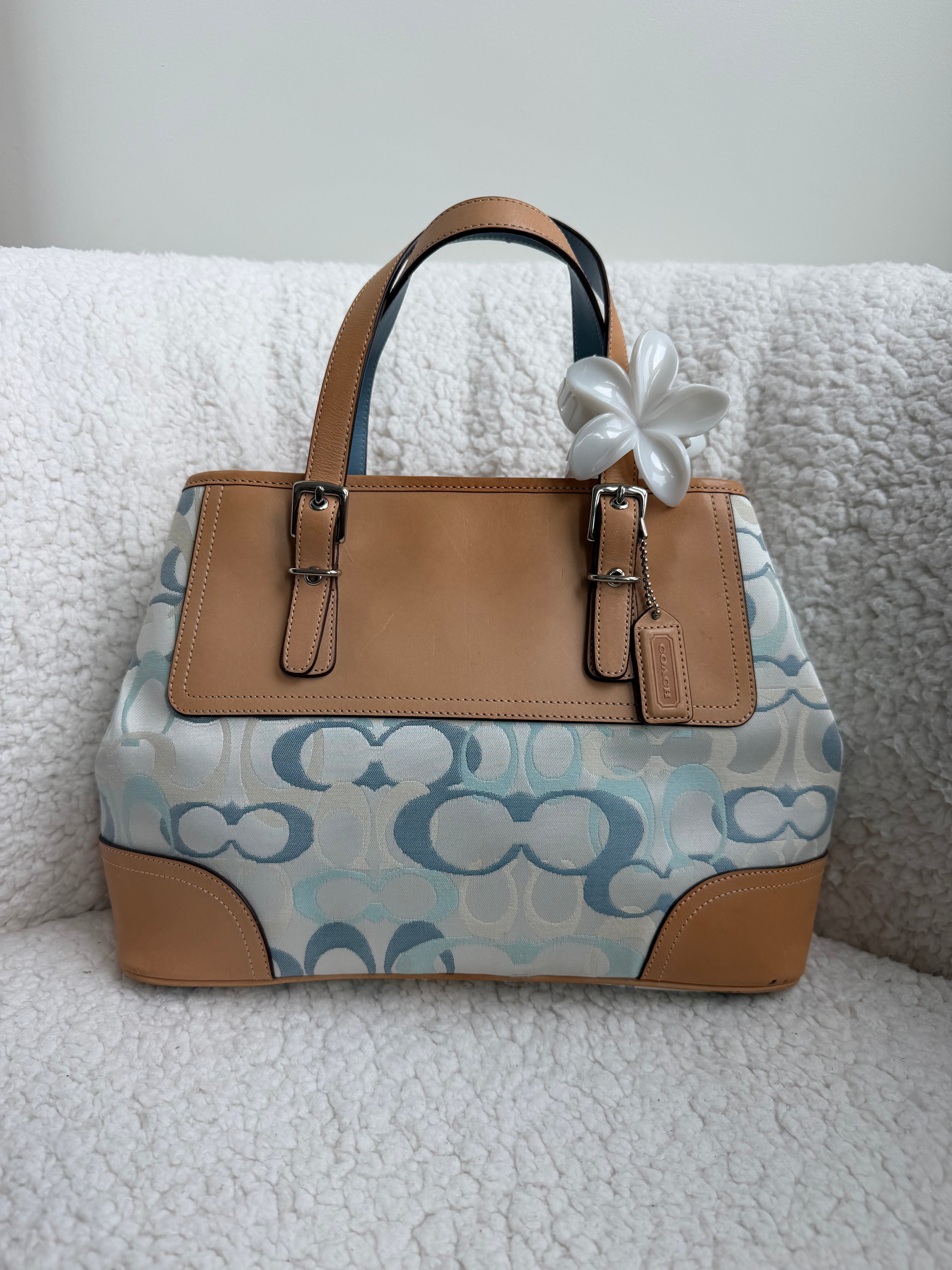 Coach Blue Optic Bag