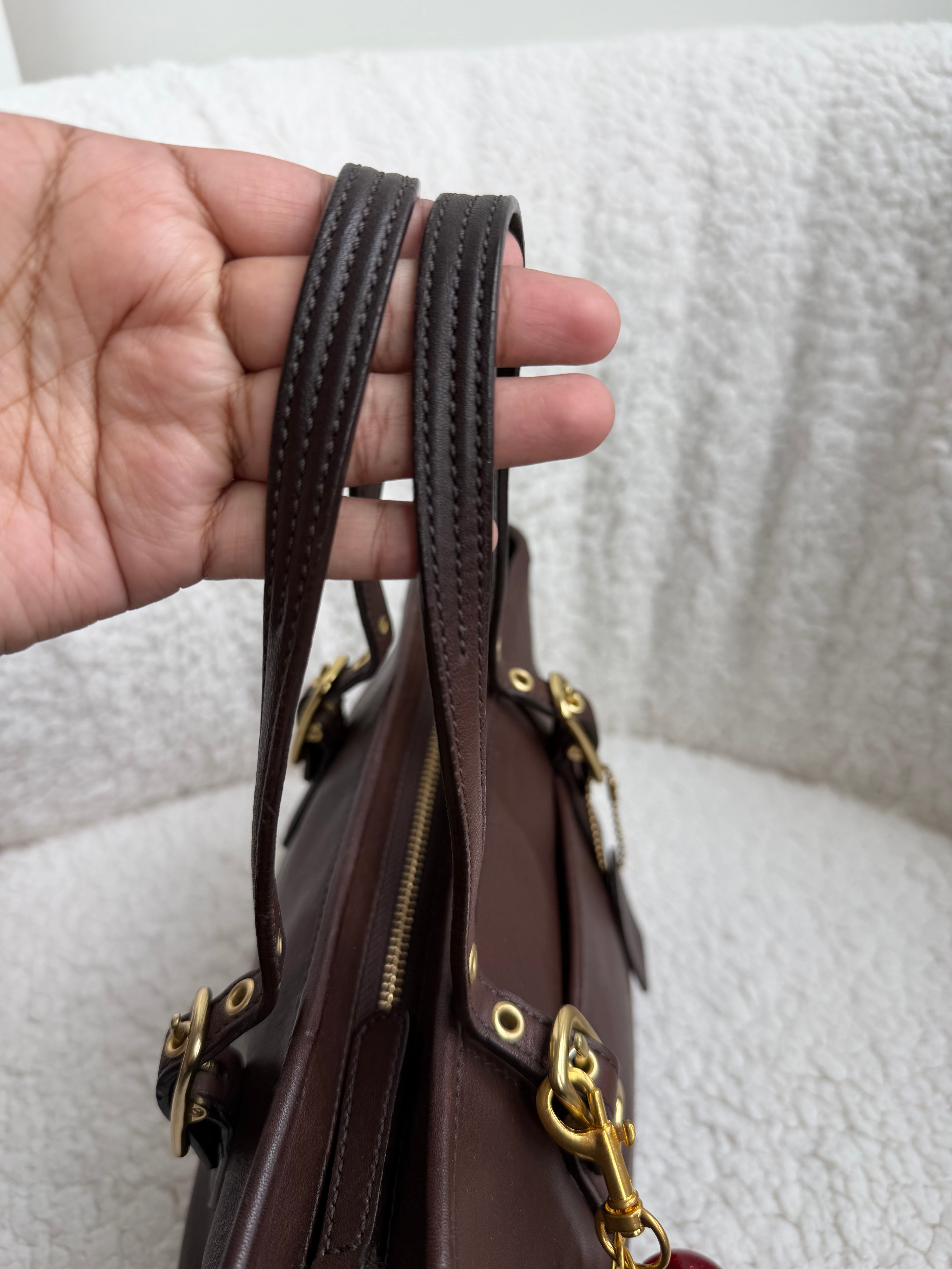 Coach Brown Leather Mini Tote