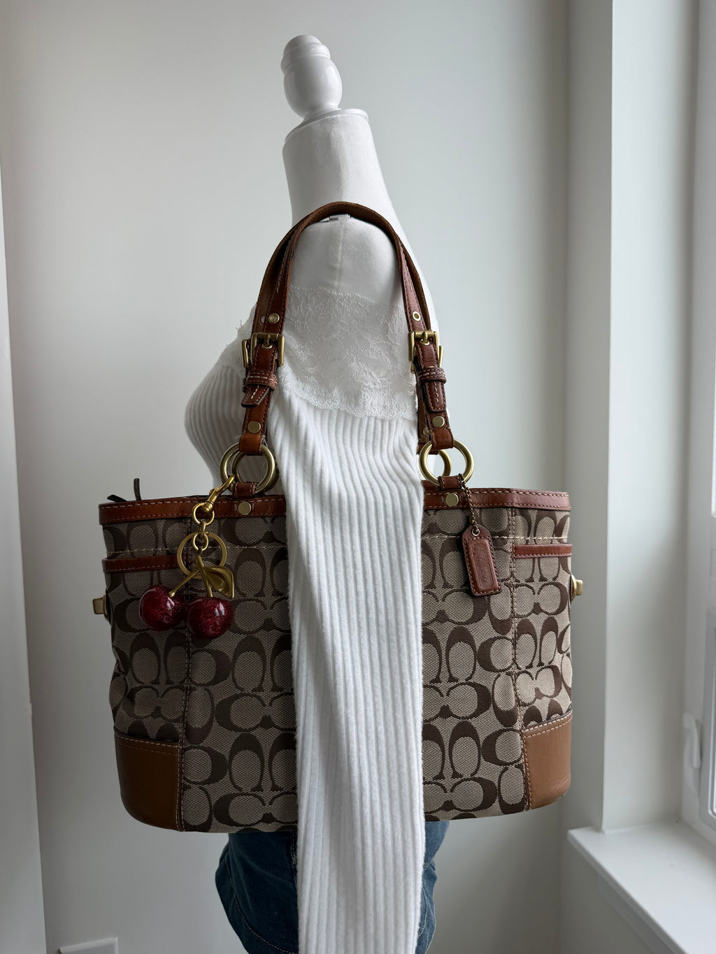 Coach Brown Signature Tote