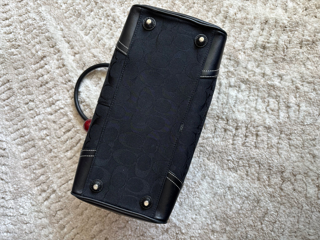 Coach Hampton Mini Satchel