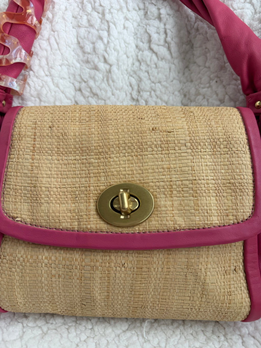 Coach Mini Woven Bag