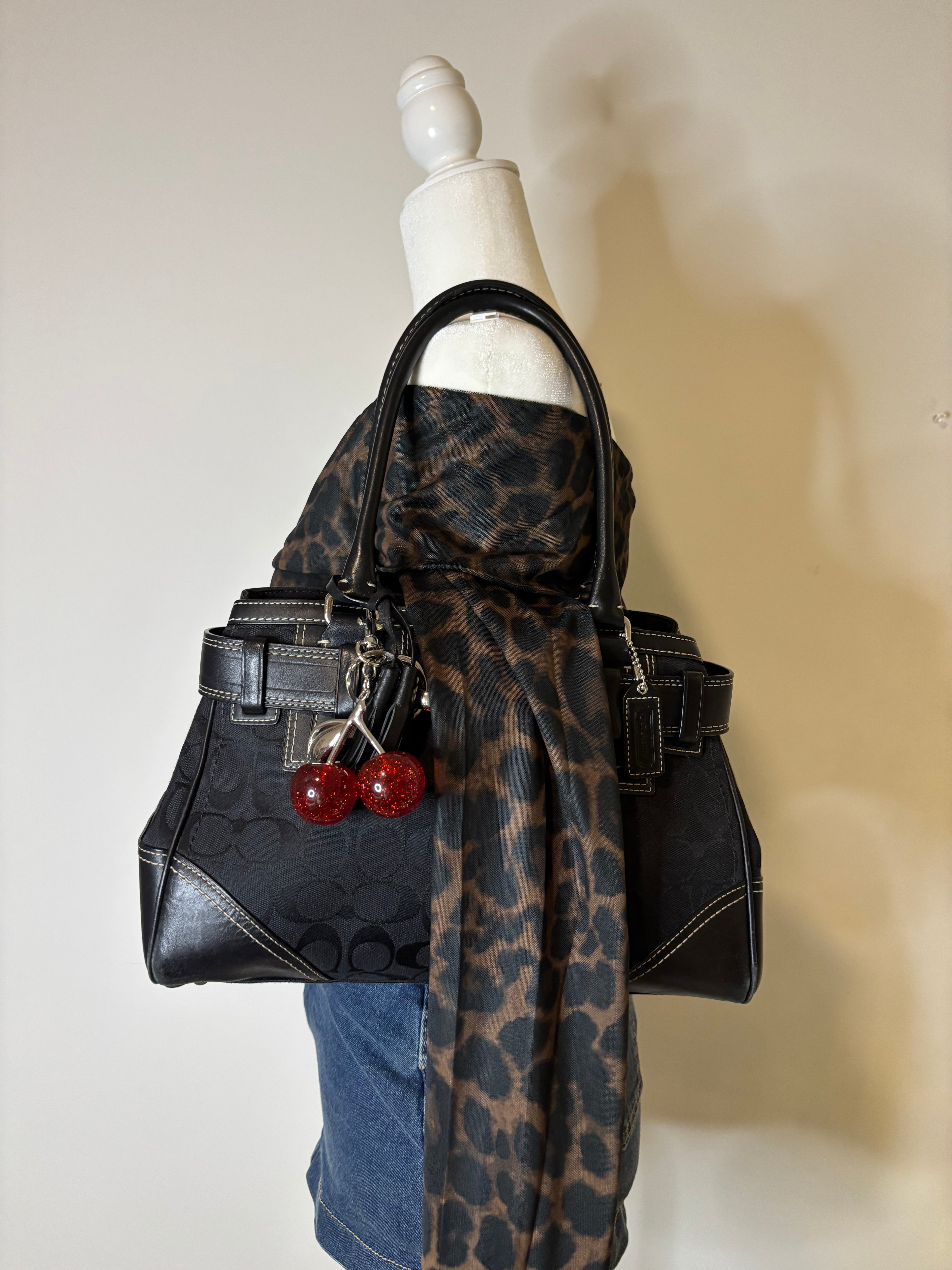 Y2K Coach Hampton Shoulder Bag