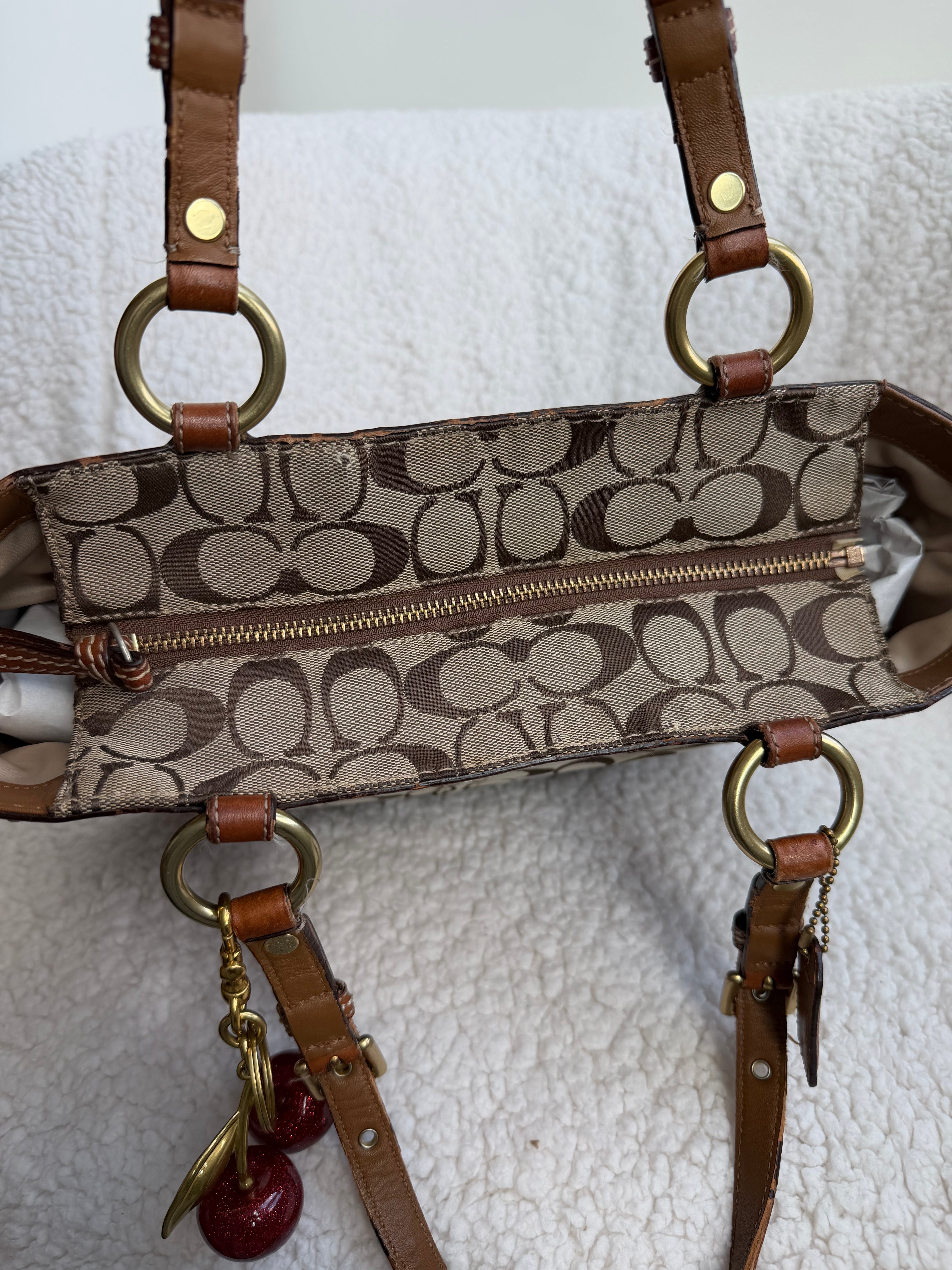 Coach Brown Signature Tote
