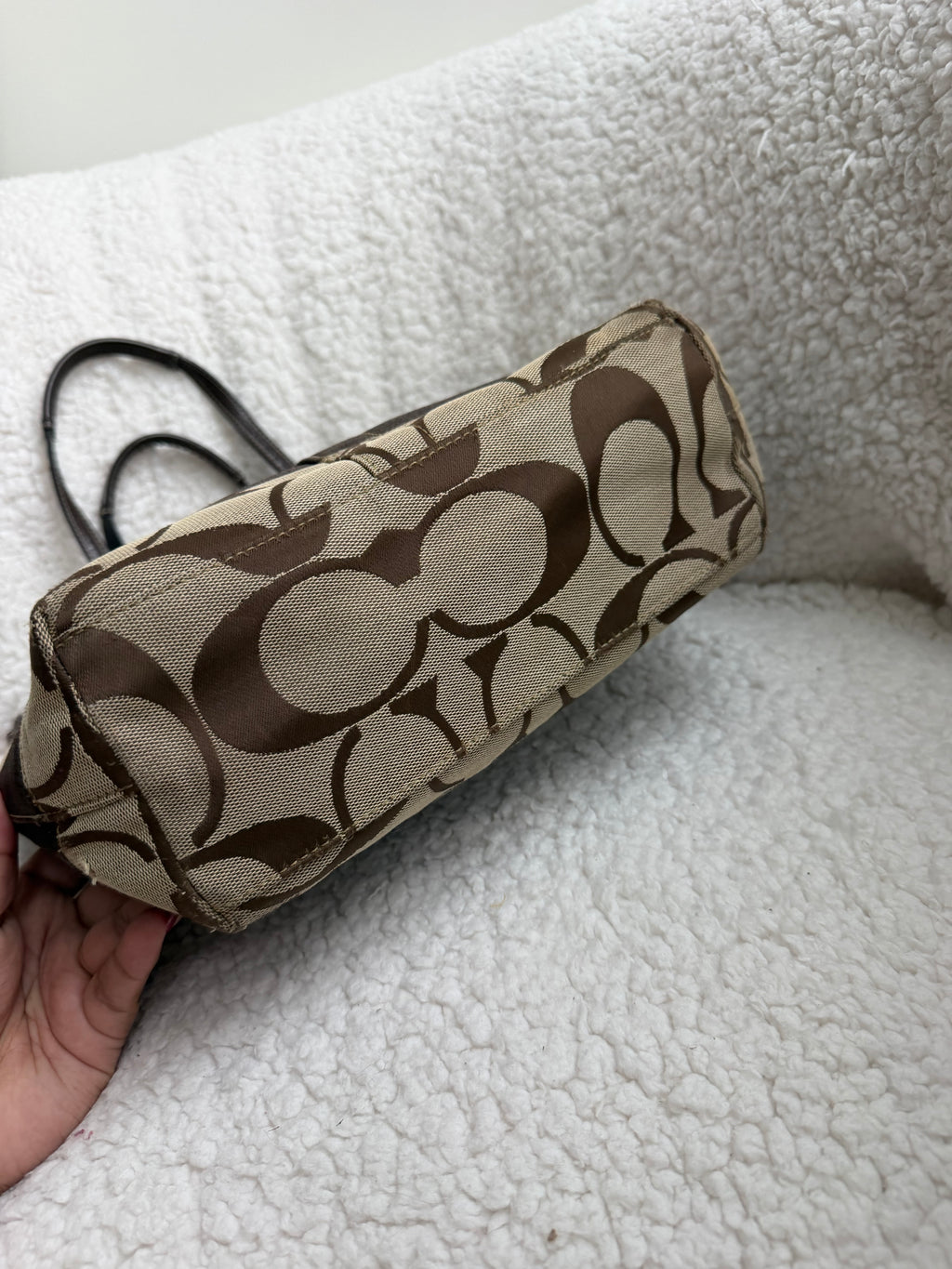 Coach Brown Striped Tote Bag