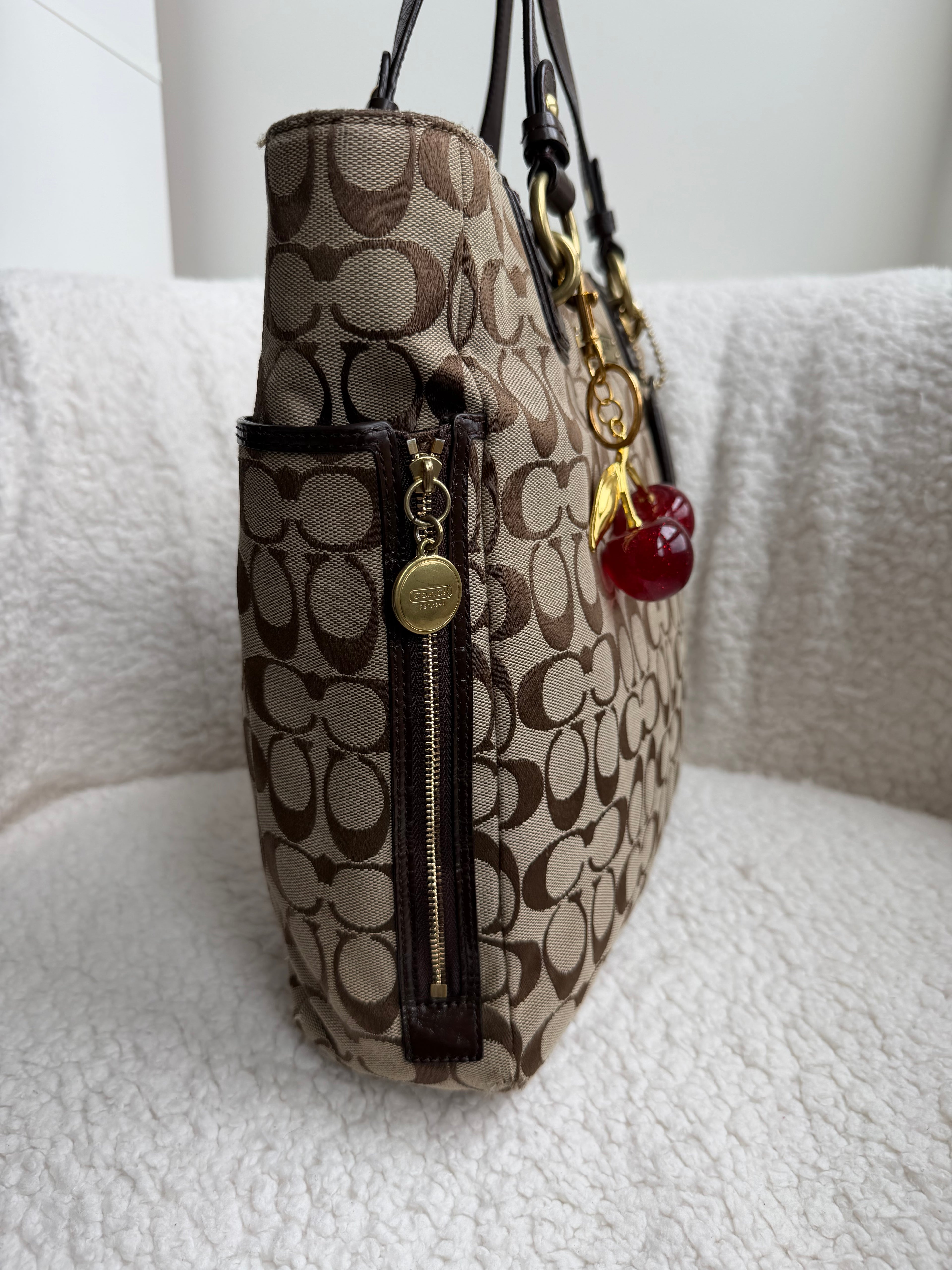 Coach Brown Signature Tote Bag