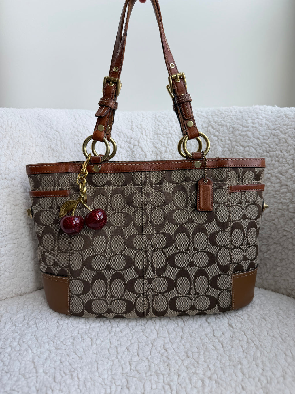 Coach Brown Signature Tote