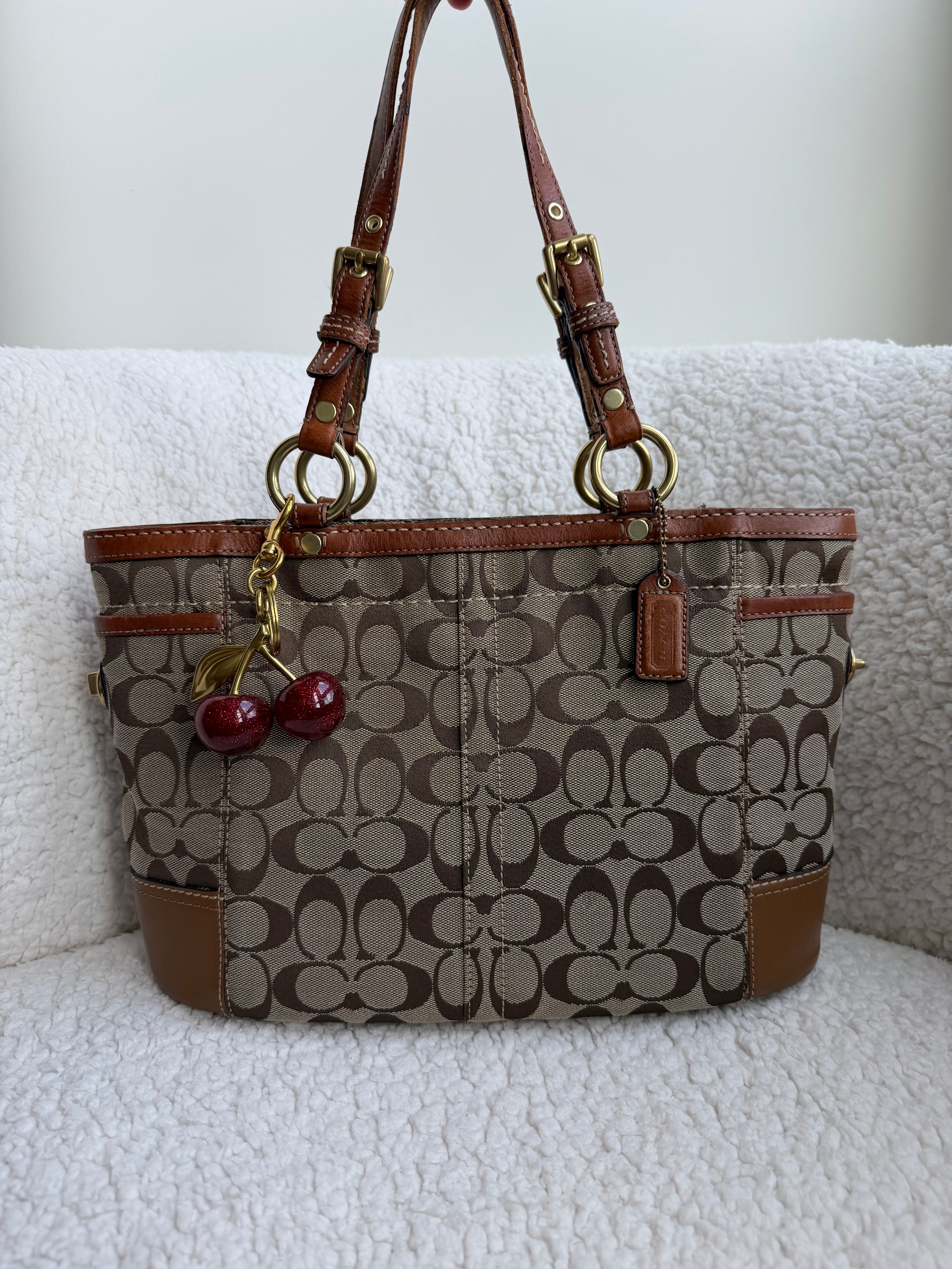 Coach Brown Signature Tote