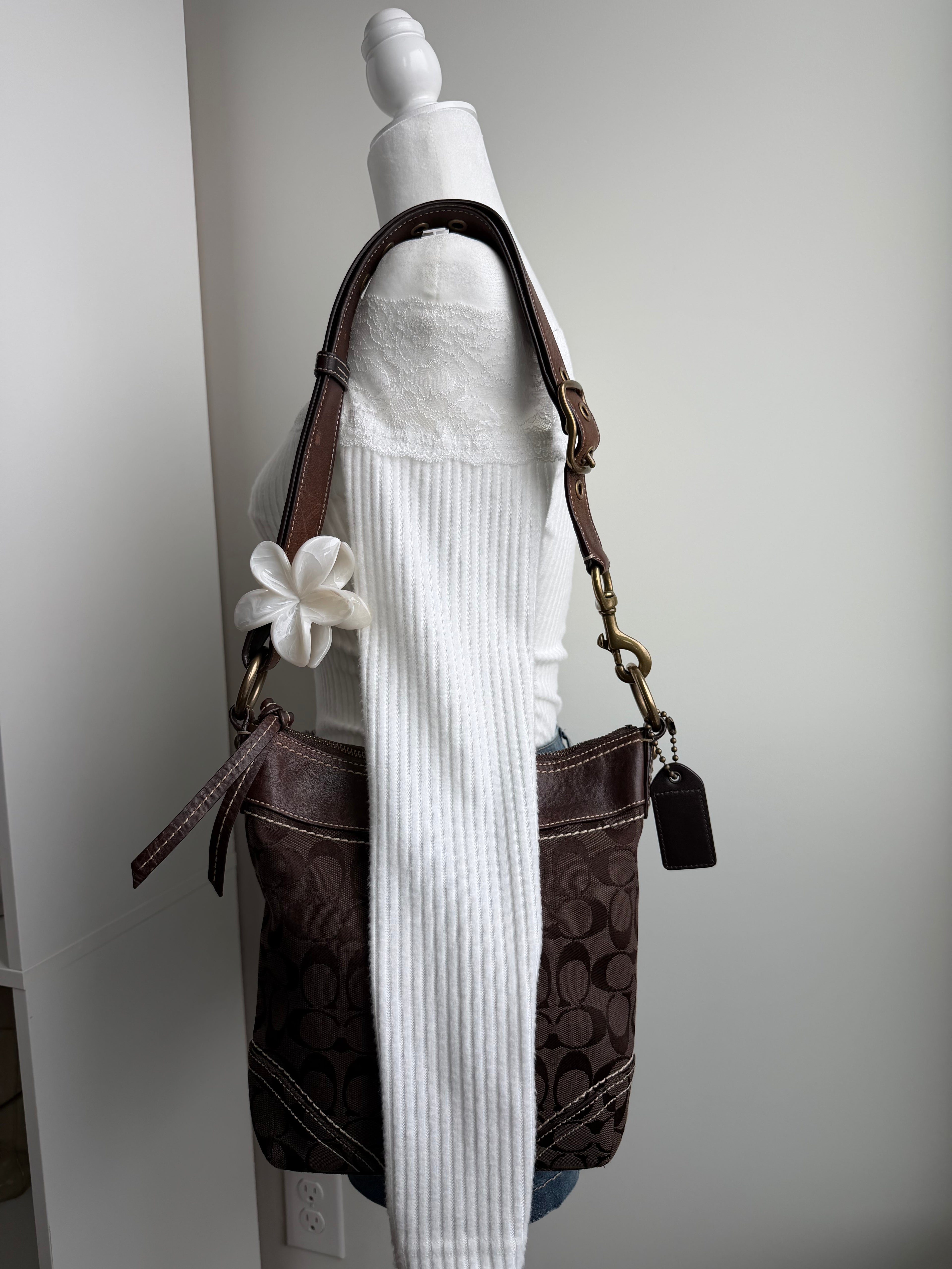 Coach Signature Brown Bag