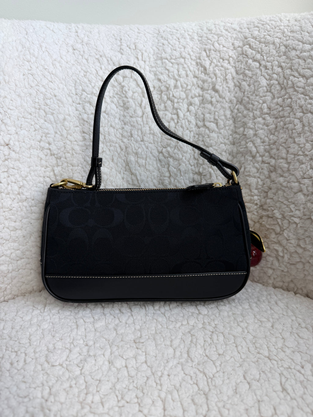 Coach Demi Bag Black Signature