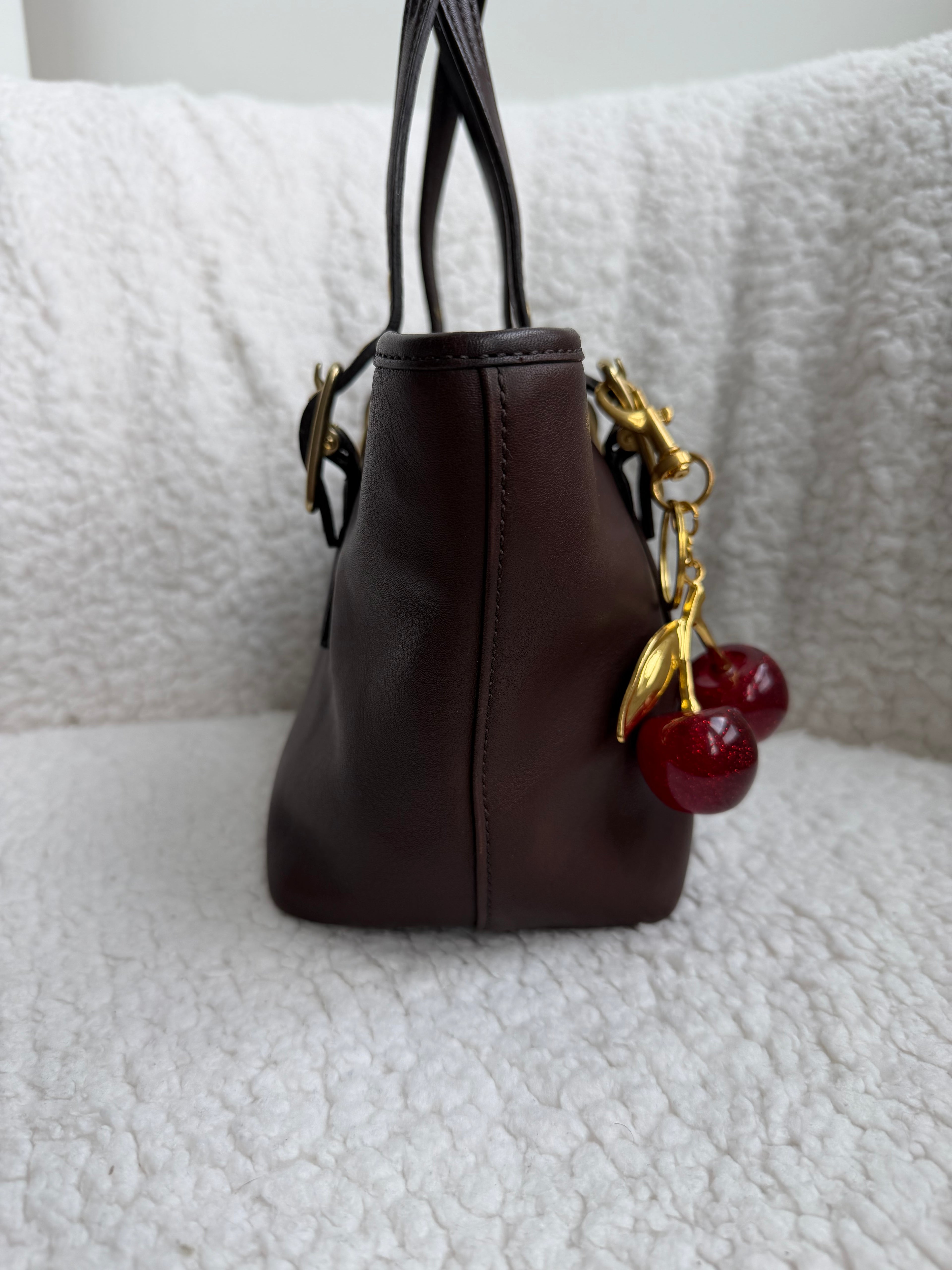 Coach Brown Leather Mini Tote