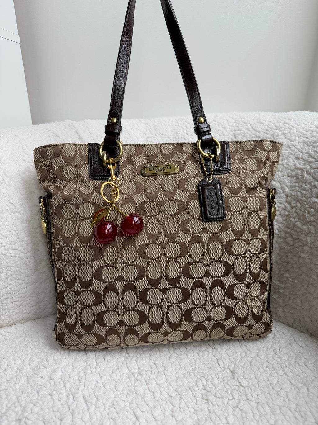 Coach Brown Signature Tote Bag