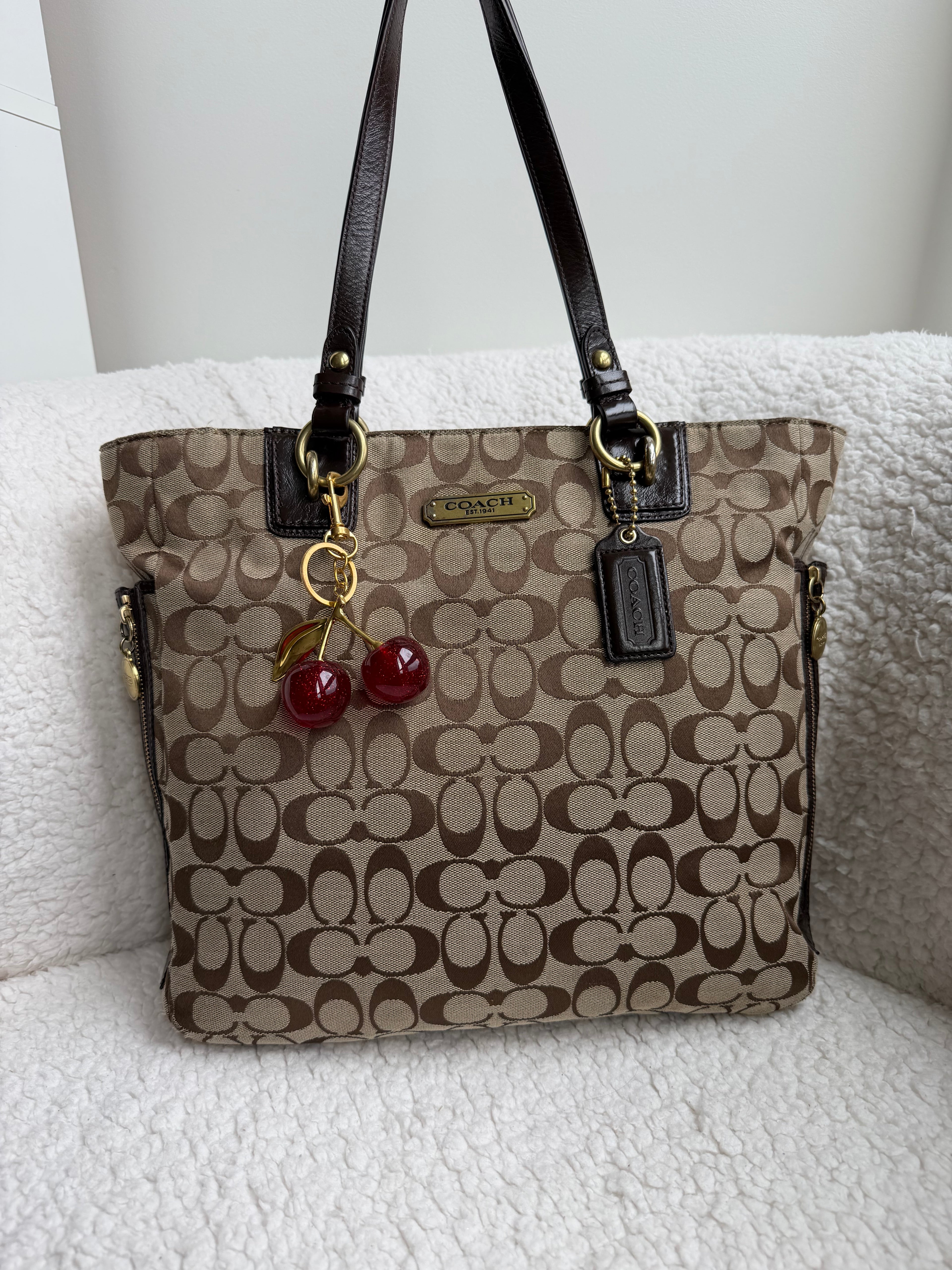 Coach Brown Signature Tote Bag