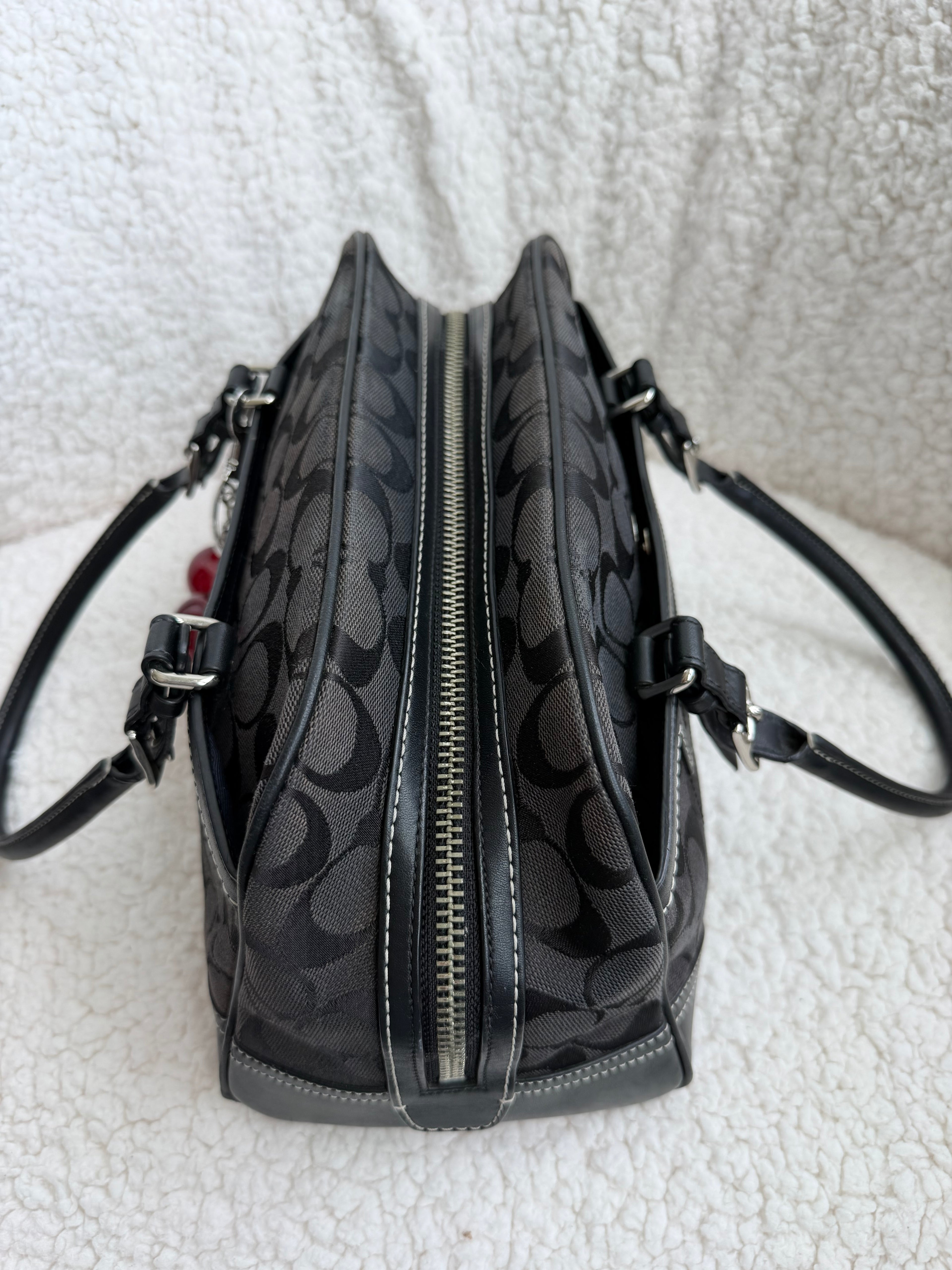 Coach Hampton Mini Satchel