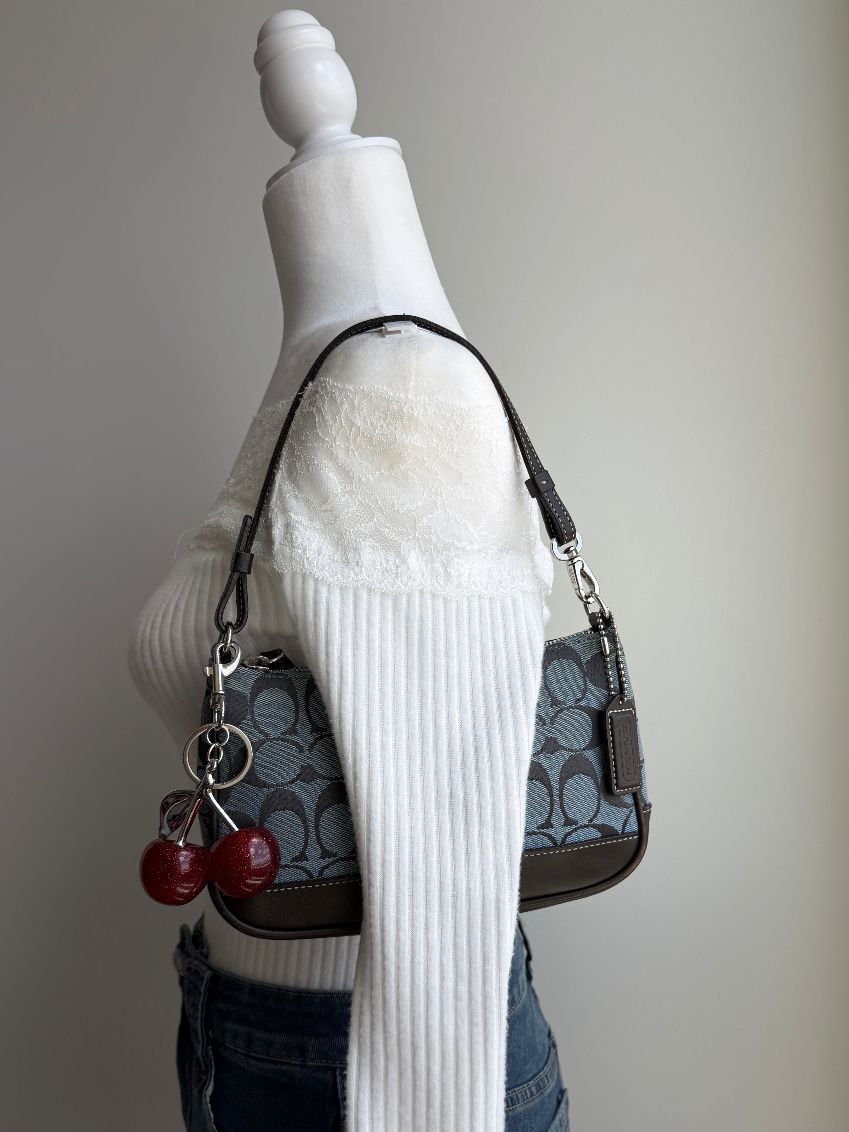 Coach Demi Bag Blue Denim Signature