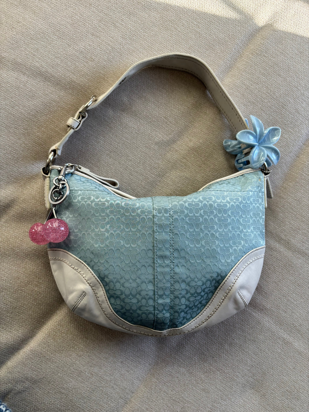 Coach Blue Signature Hobo