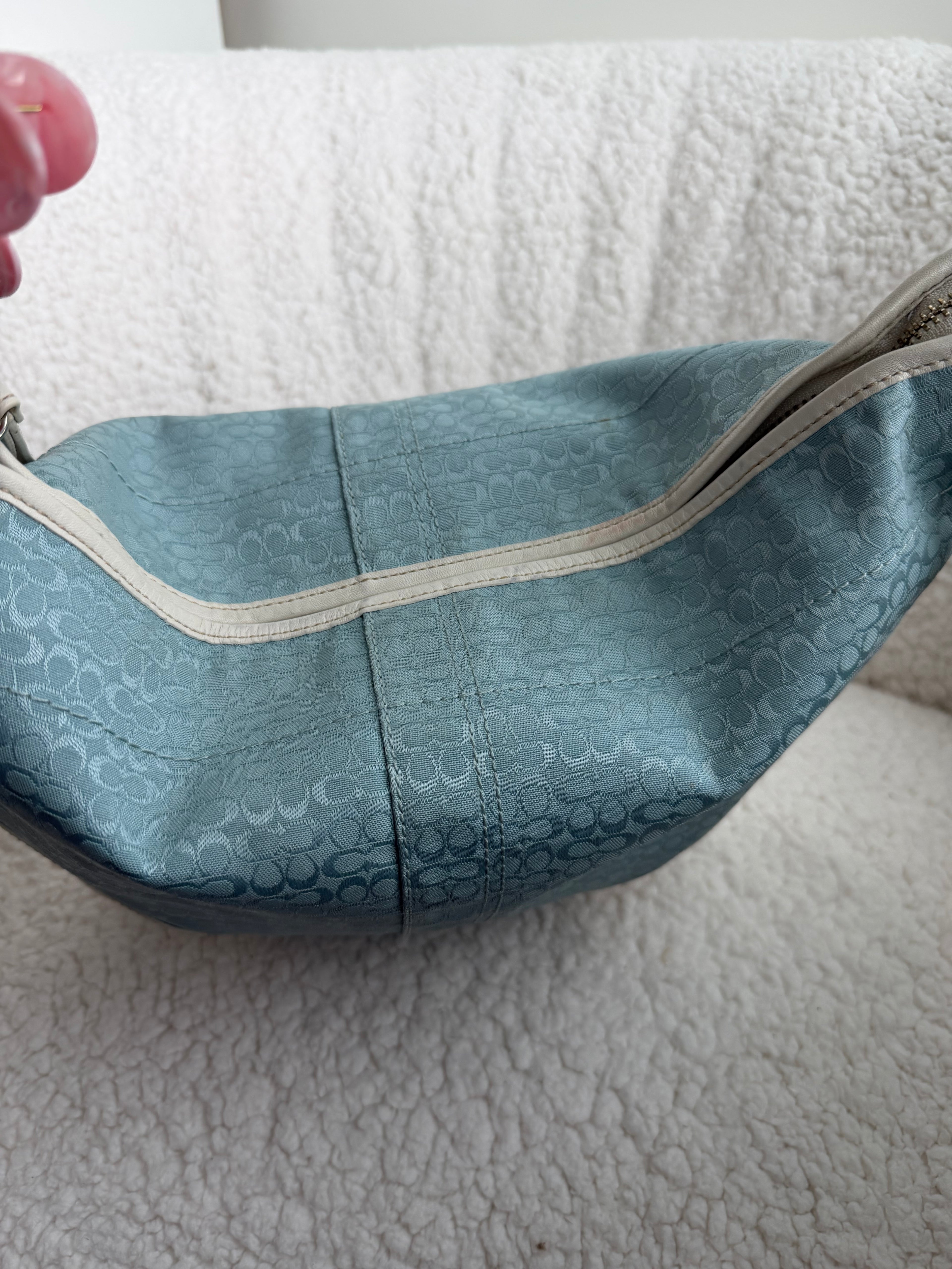 Coach Blue Large Signature Hobo