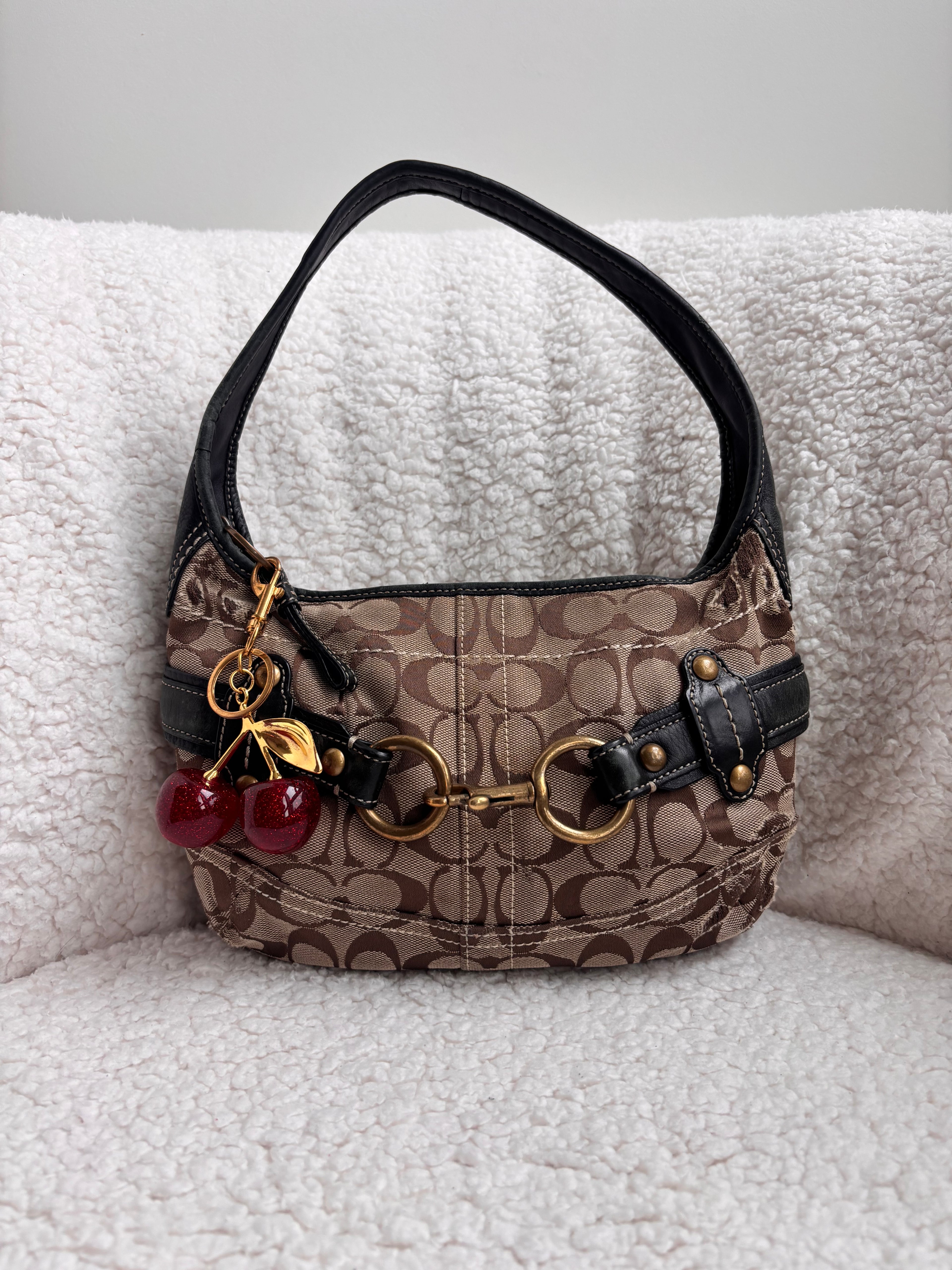 Coach Brown Signature Ergo Small