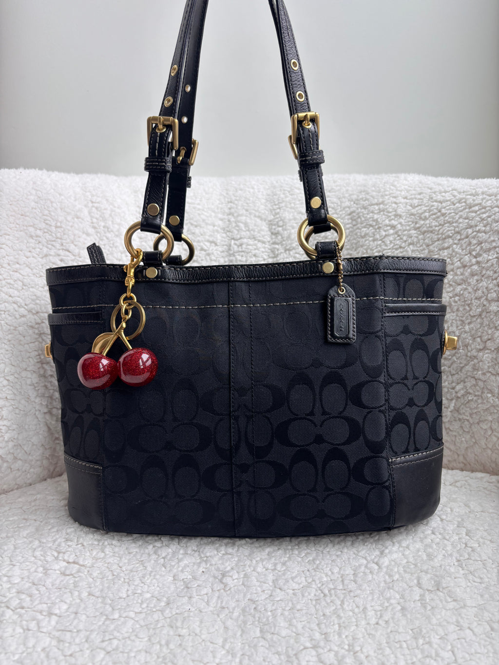 Coach Black Signature Tote