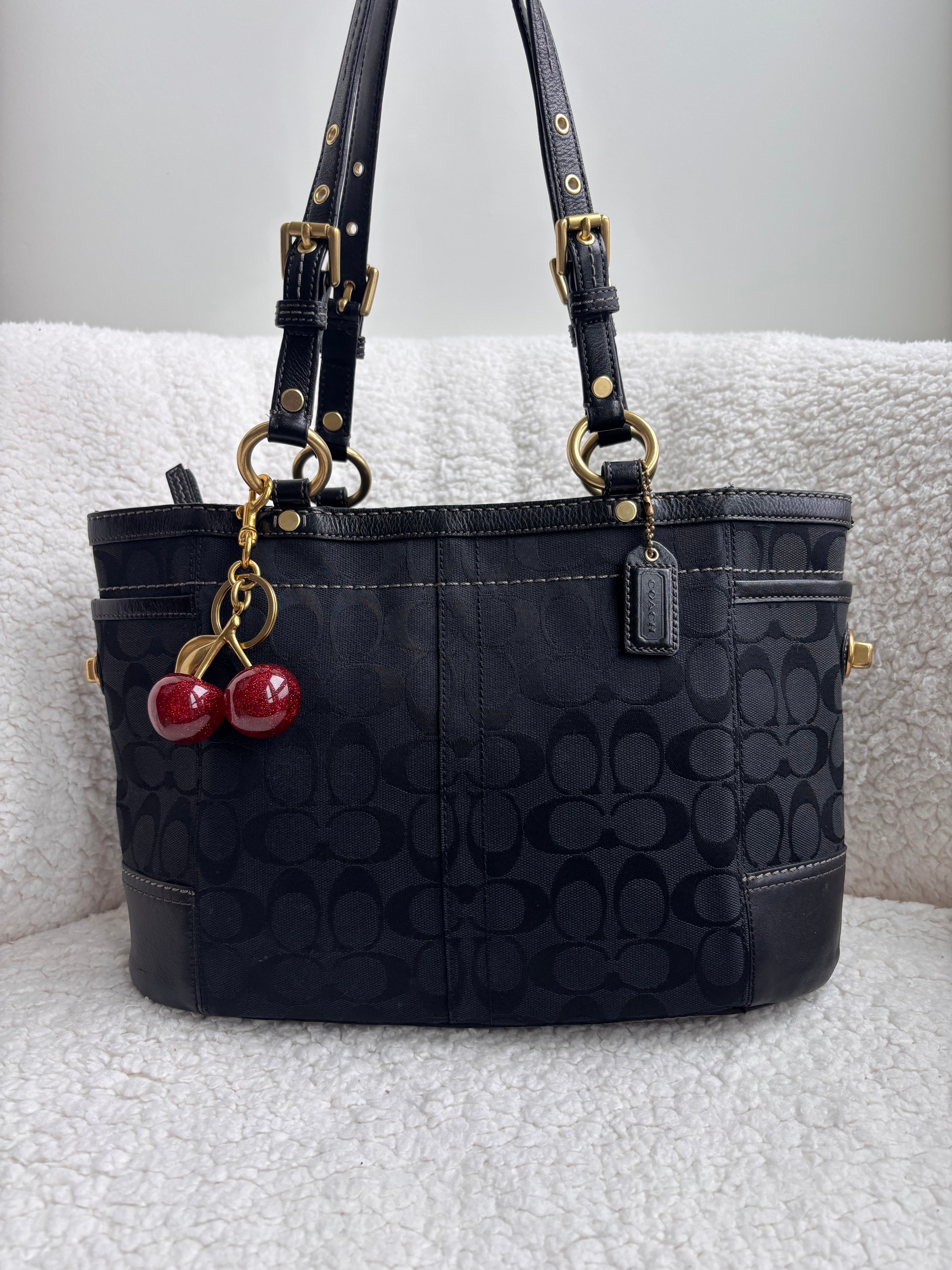 Coach Black Signature Tote