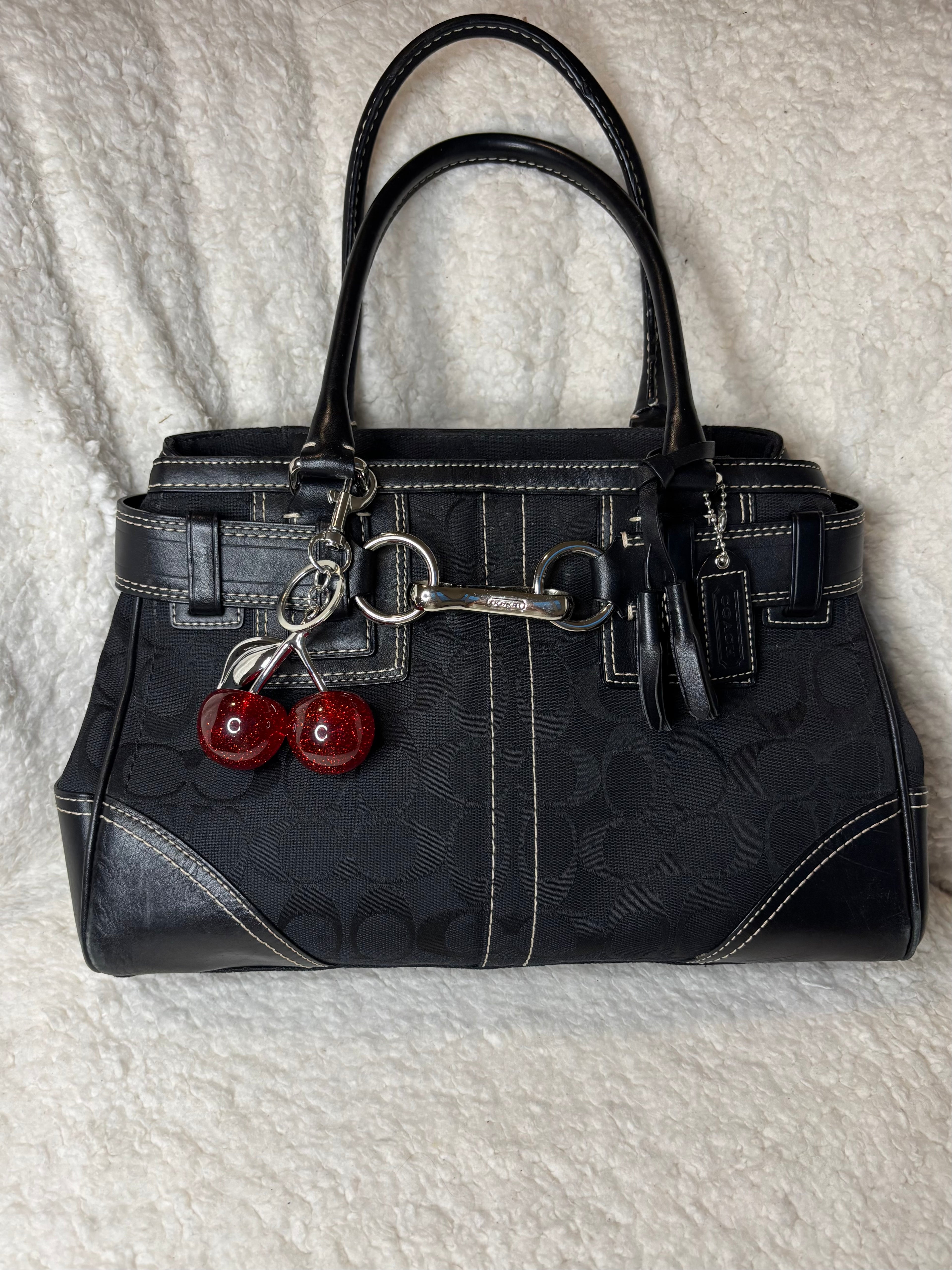 Y2K Coach Hampton Shoulder Bag