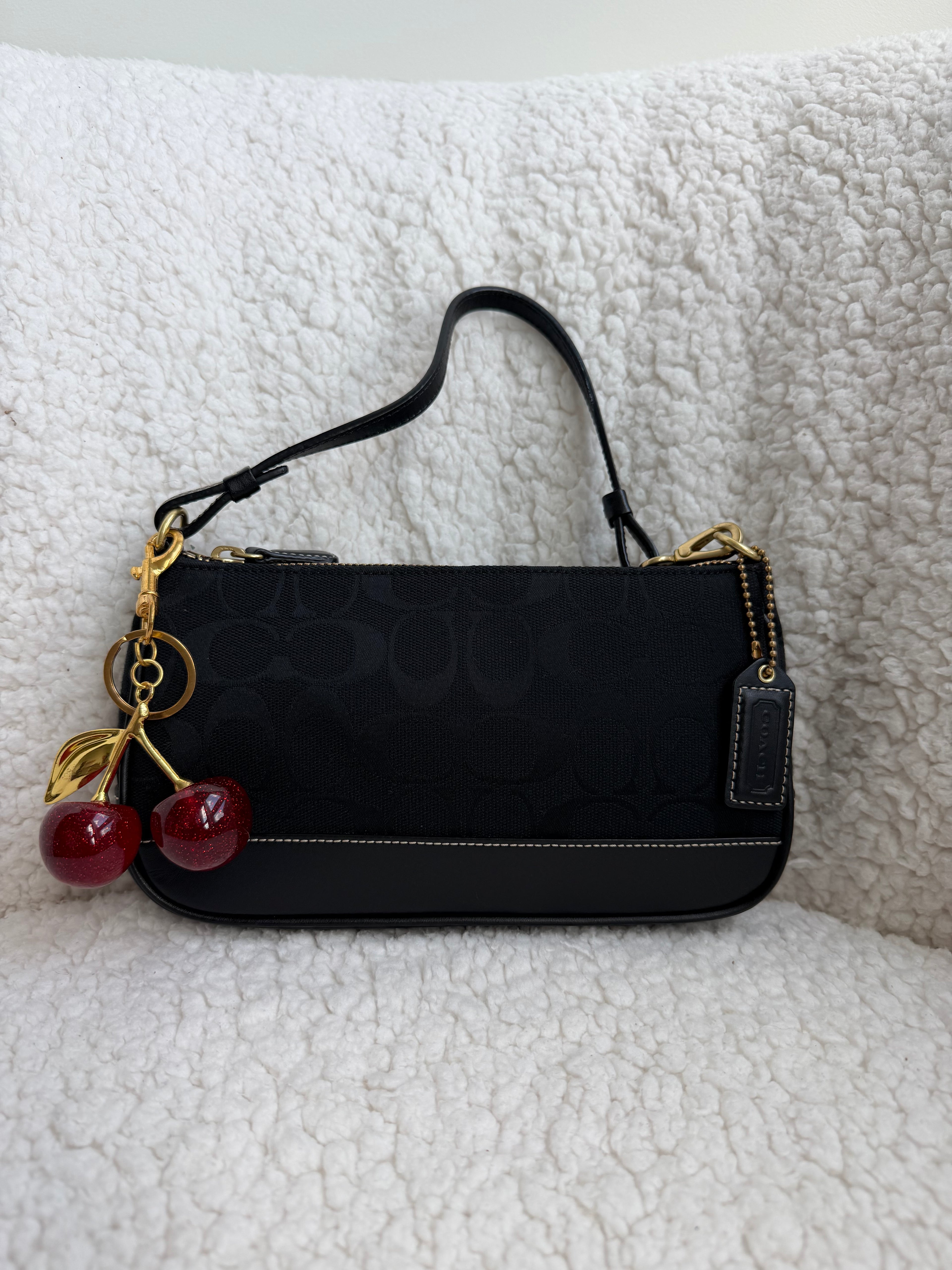 Coach Demi Bag Black Signature