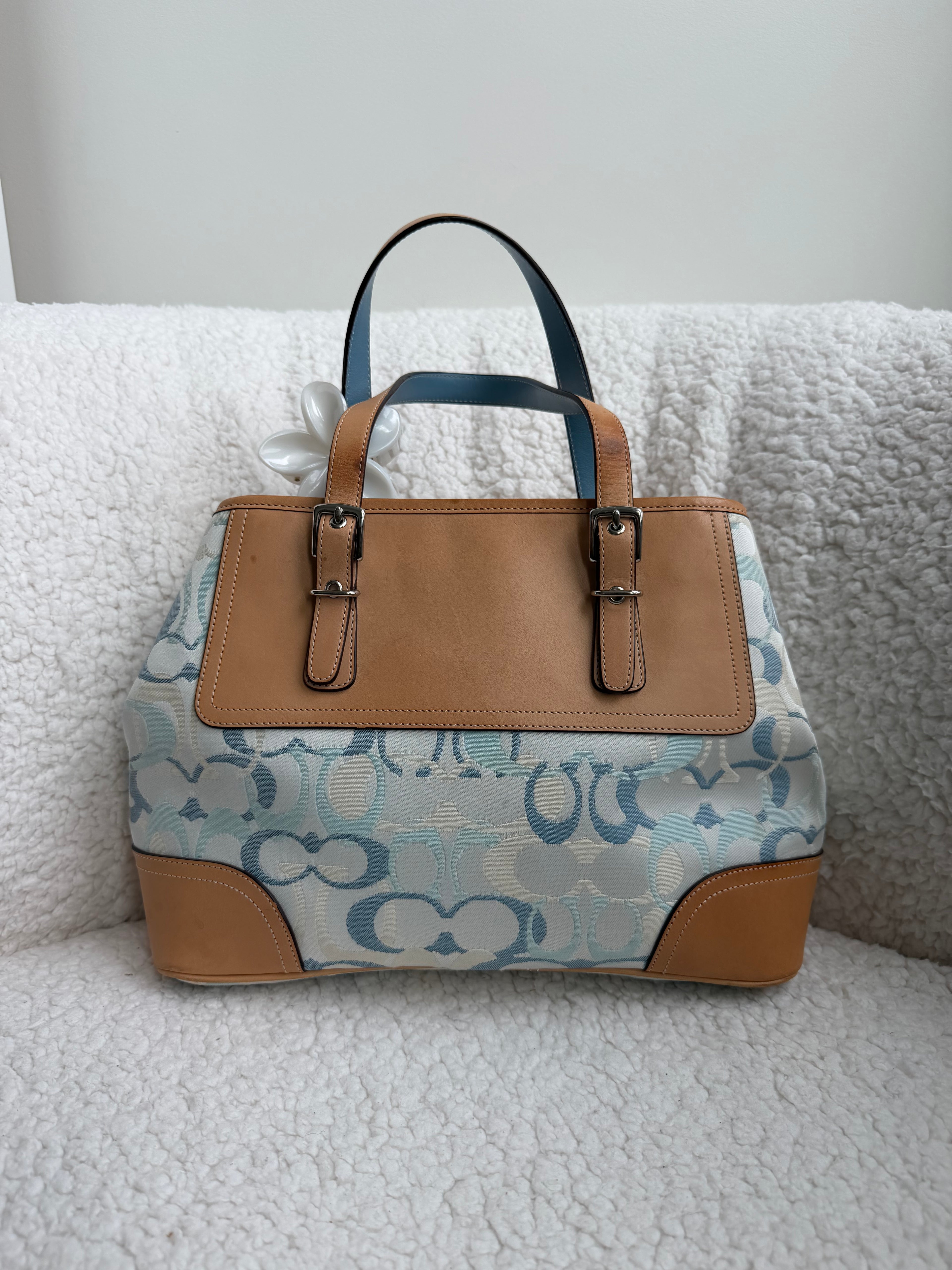 Coach Blue Optic Bag
