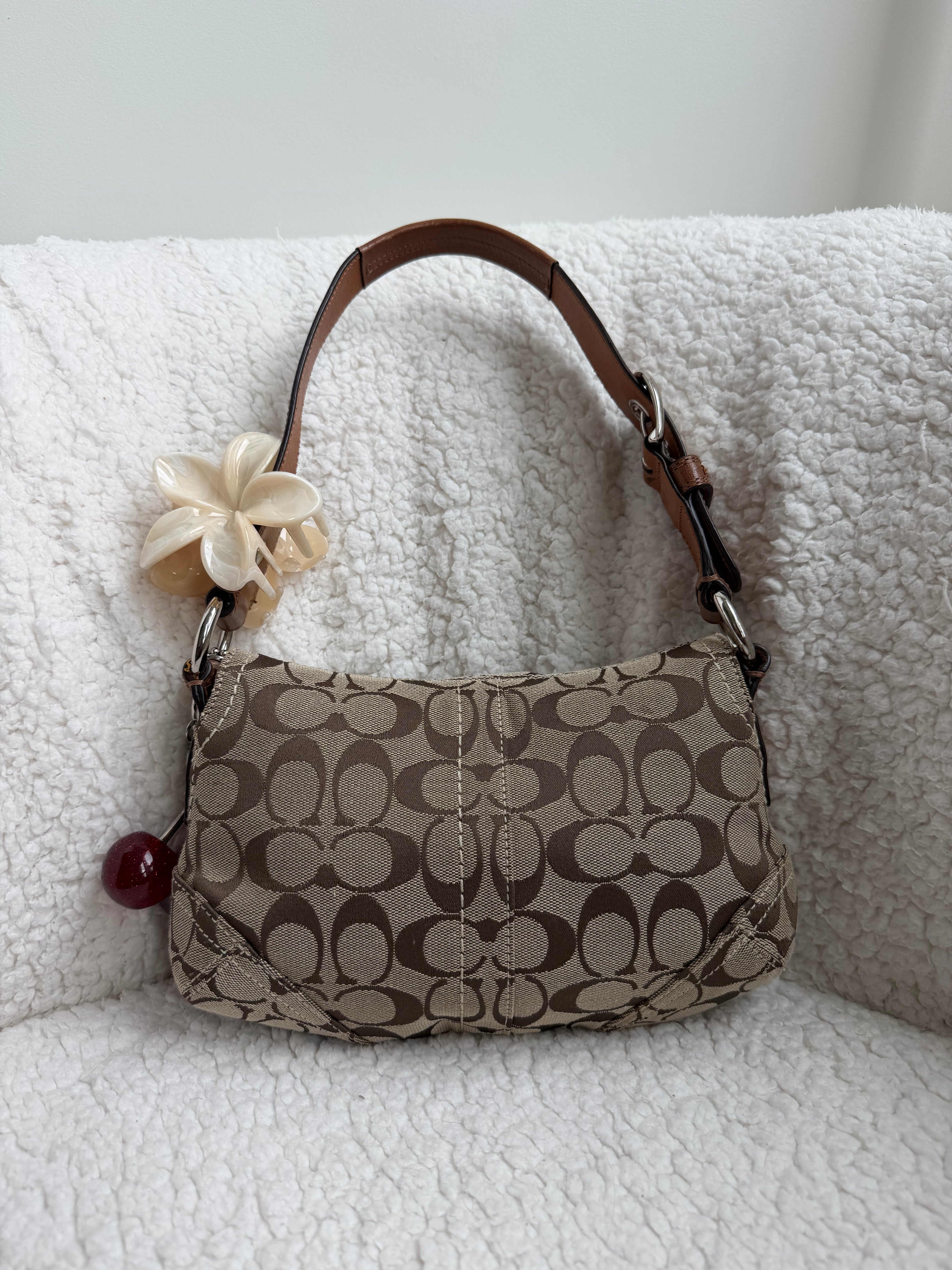 Coach Signature Brown Mini Soho
