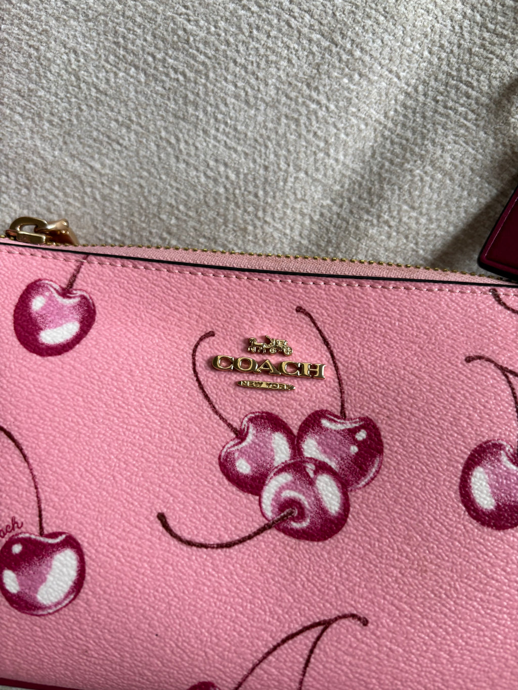 Y2k Coach Cherry Print Nolita 19