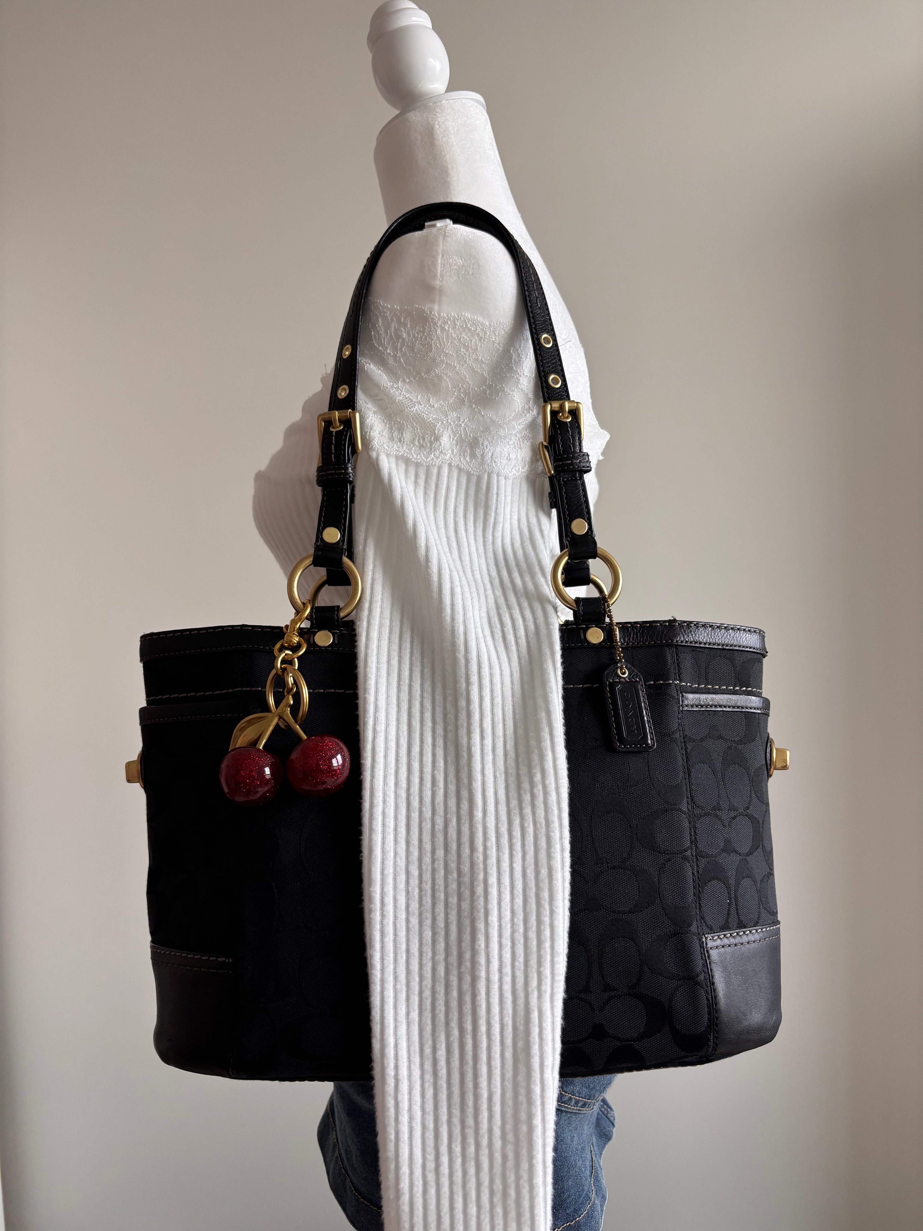 Coach Black Signature Tote