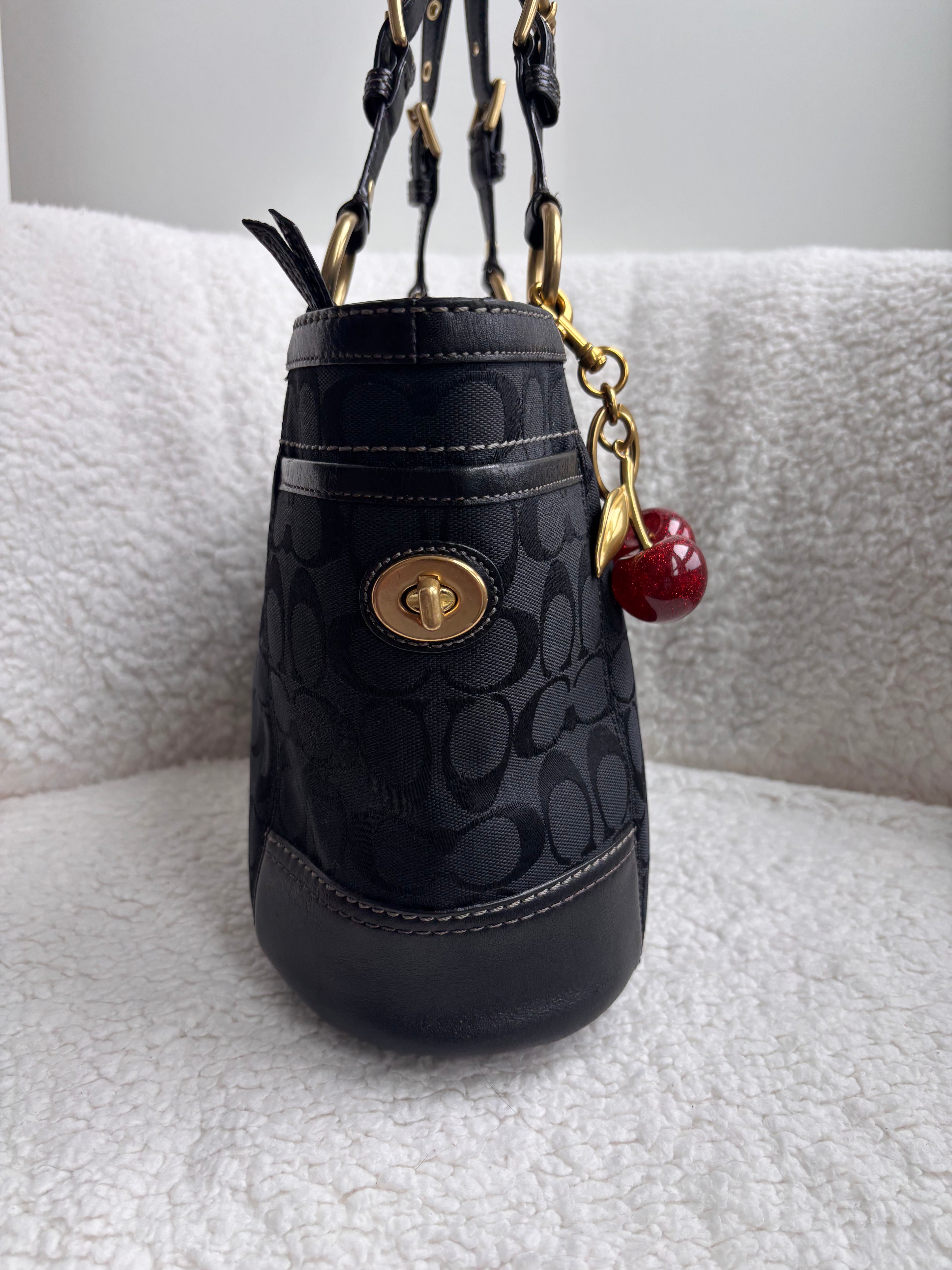 Coach Black Signature Tote