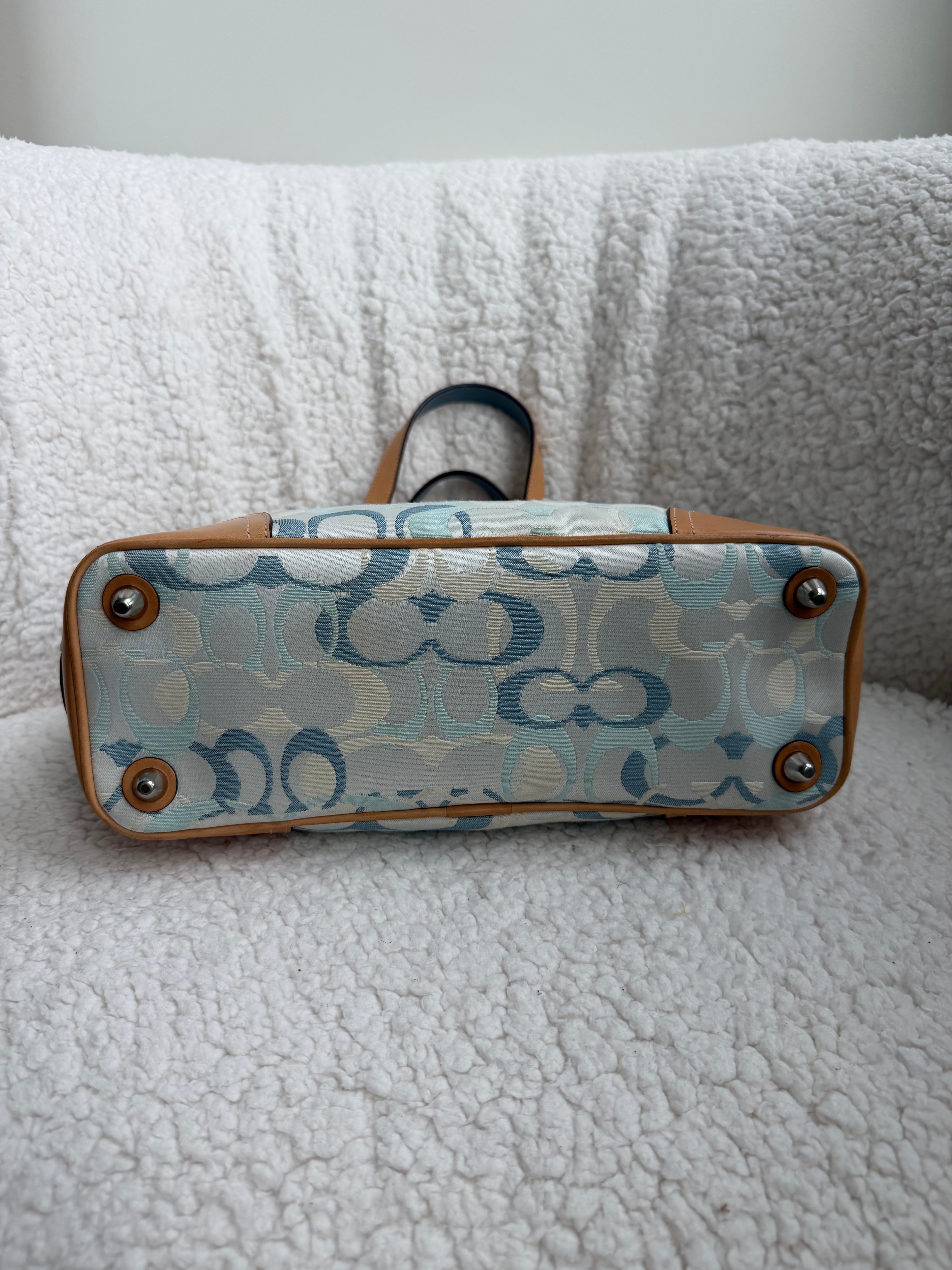 Coach Blue Optic Bag