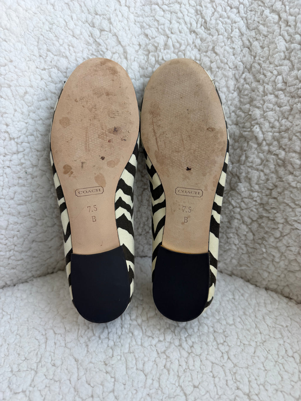 Coach Ballet Flats Zebra Print