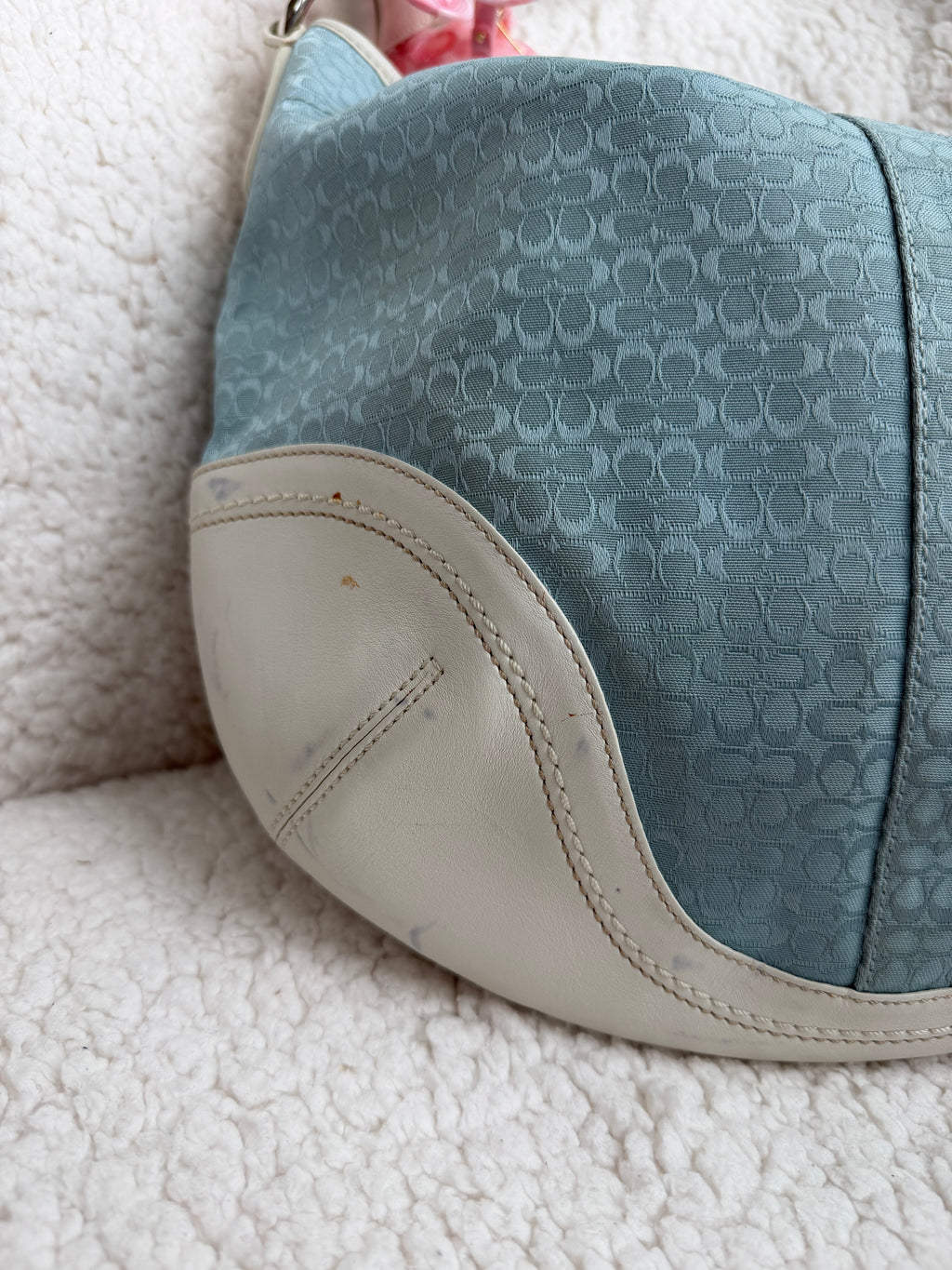 Coach Blue Large Signature Hobo