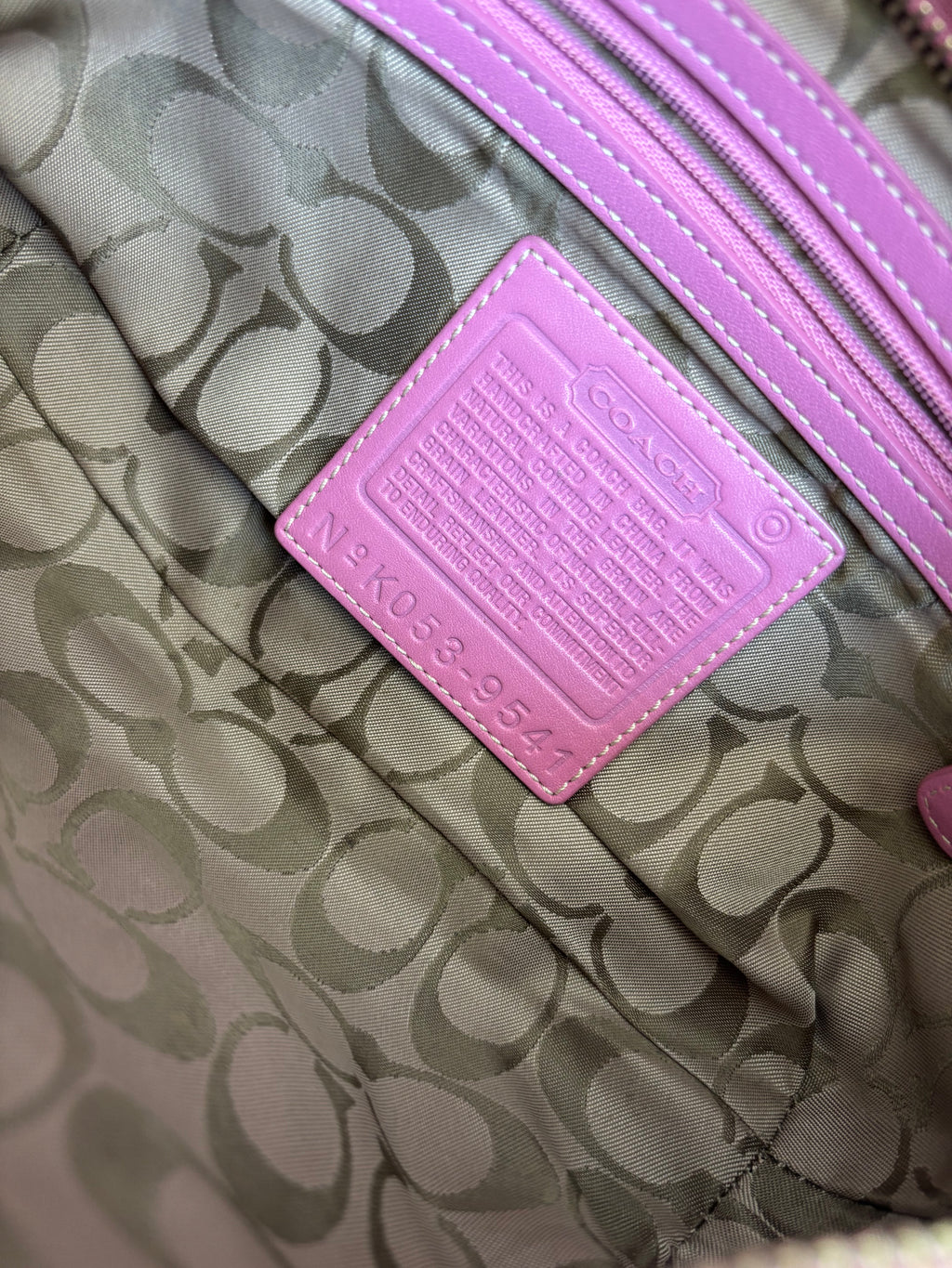 Y2K Coach Pink Mini Hobo