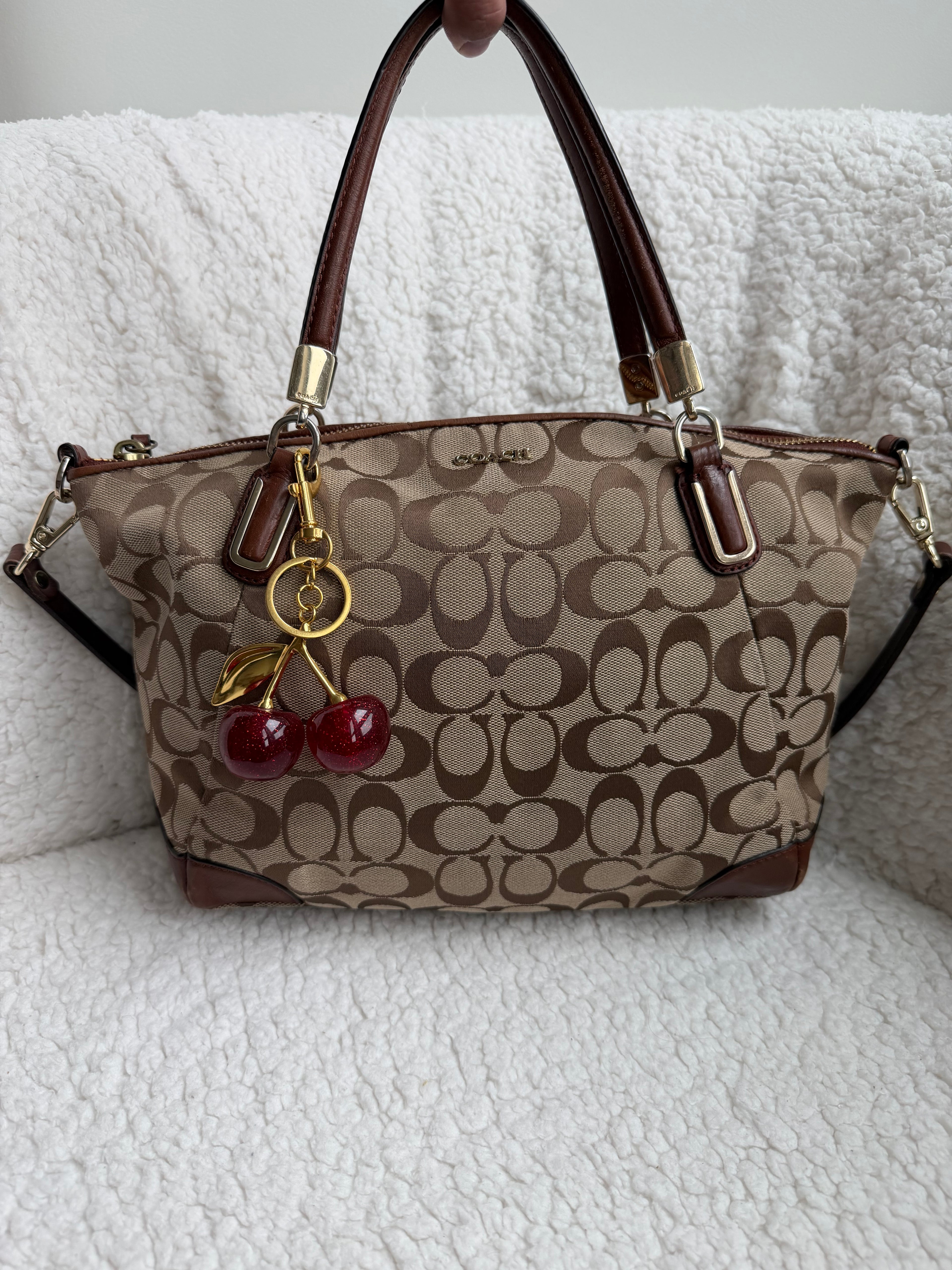Coach Small Signature Satchel