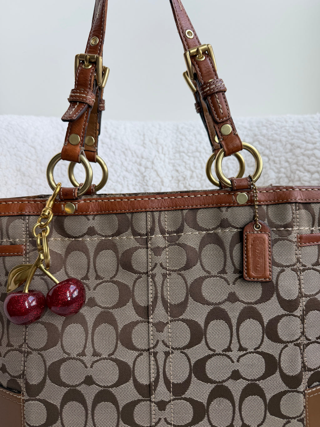 Coach Brown Signature Tote