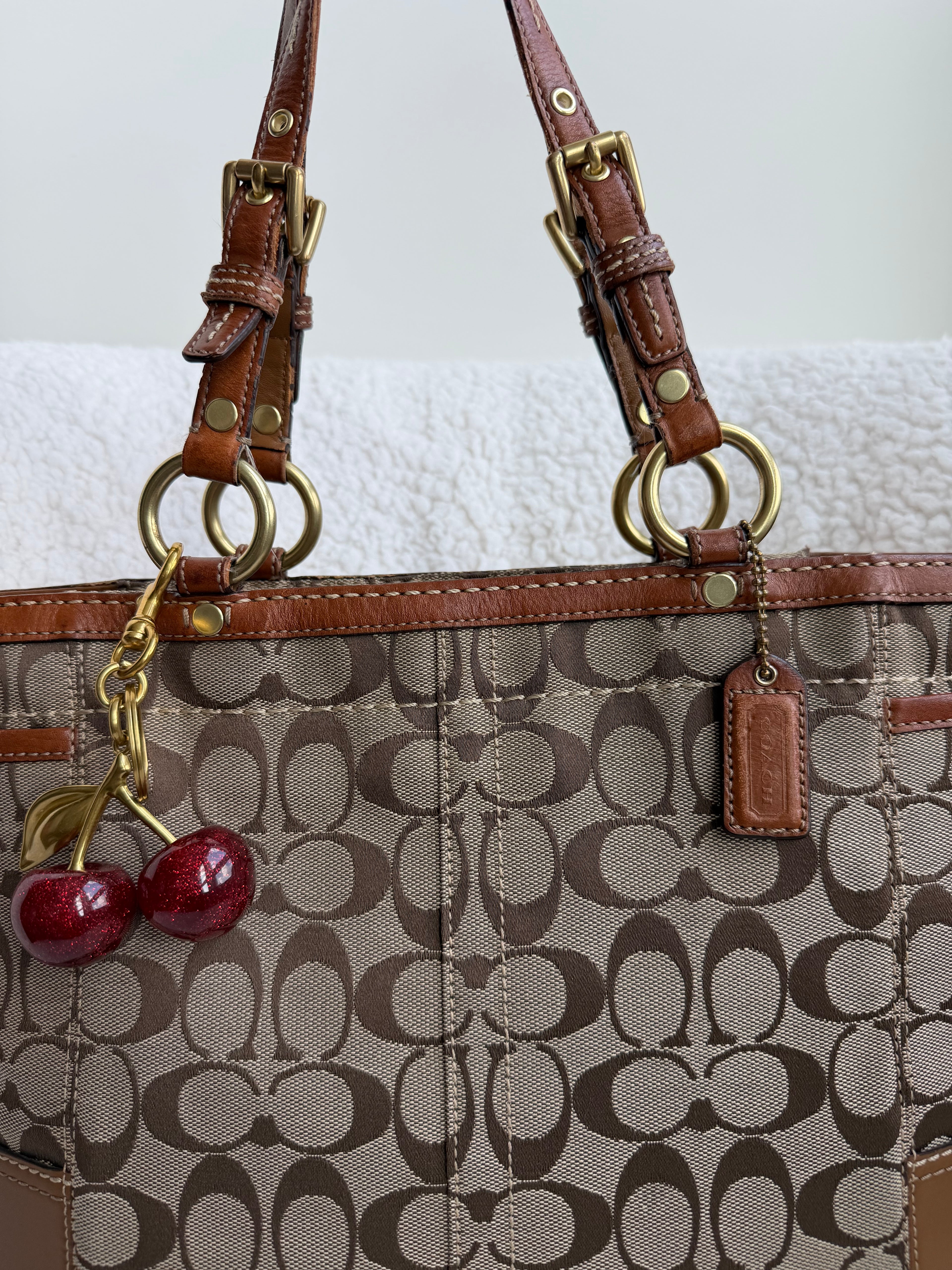Coach Brown Signature Tote
