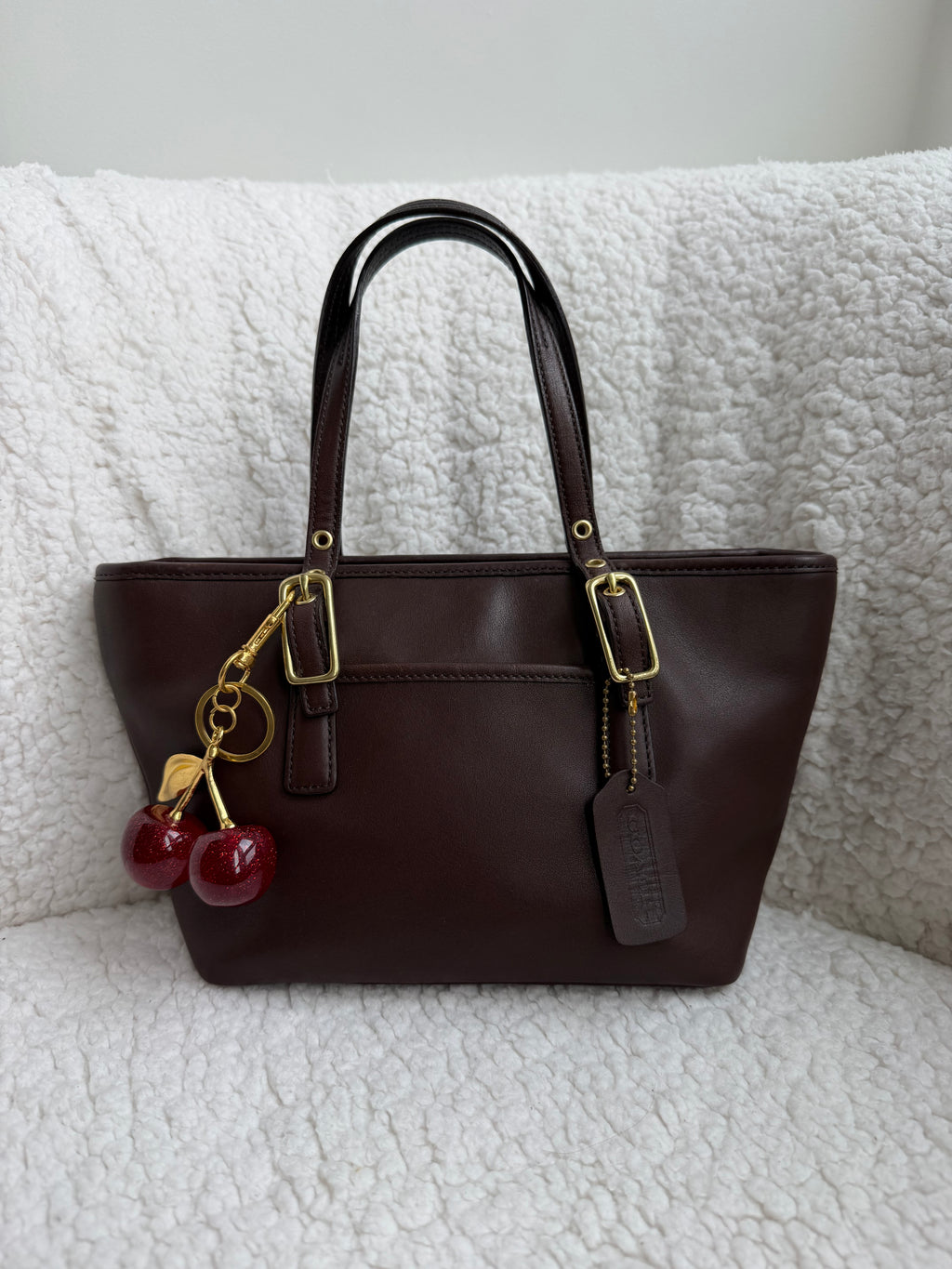 Coach Brown Leather Mini Tote