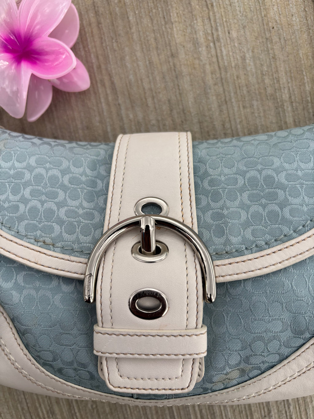 Y2K Coach Blue Mini Soho