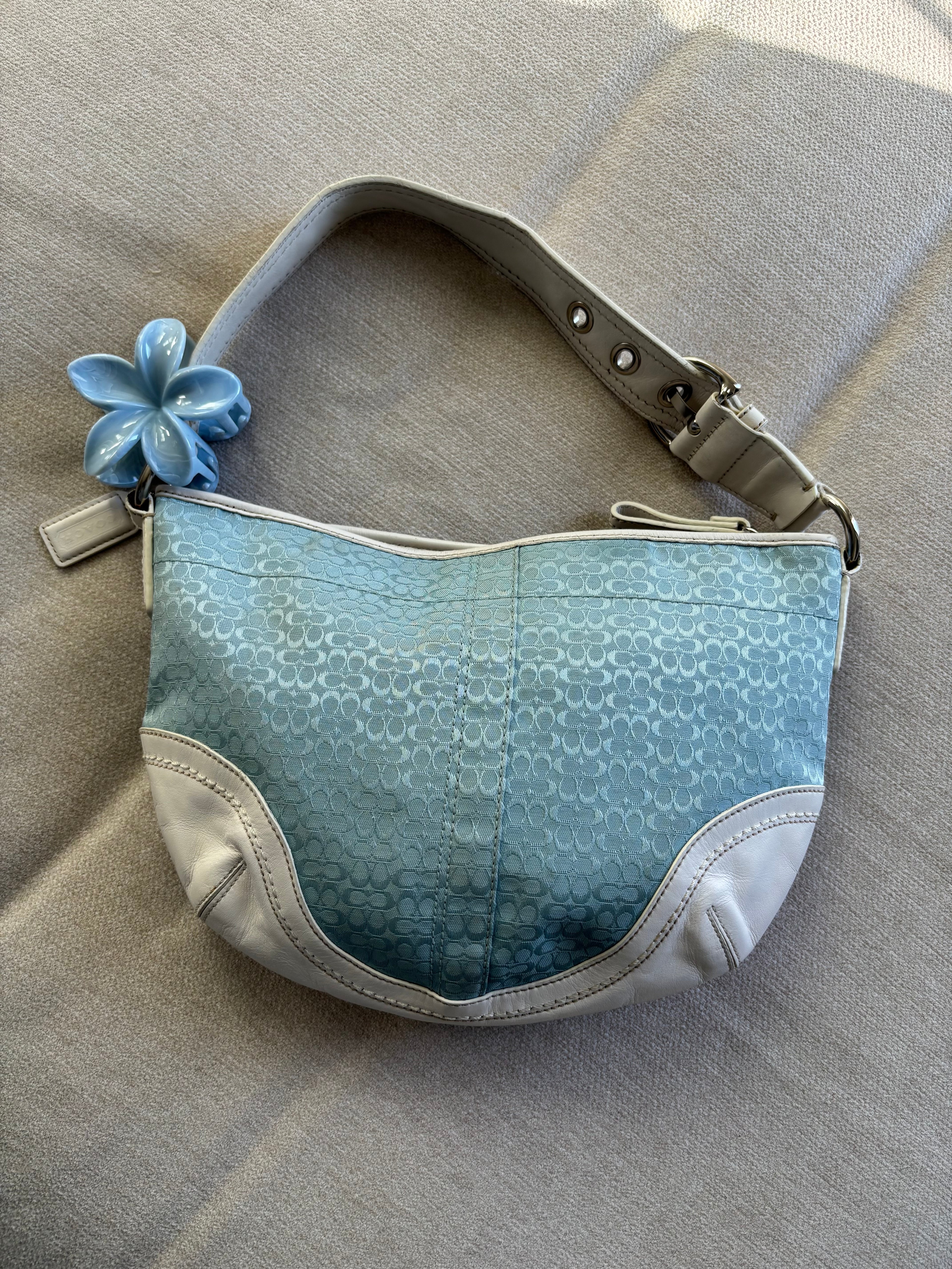 Coach Blue Signature Hobo