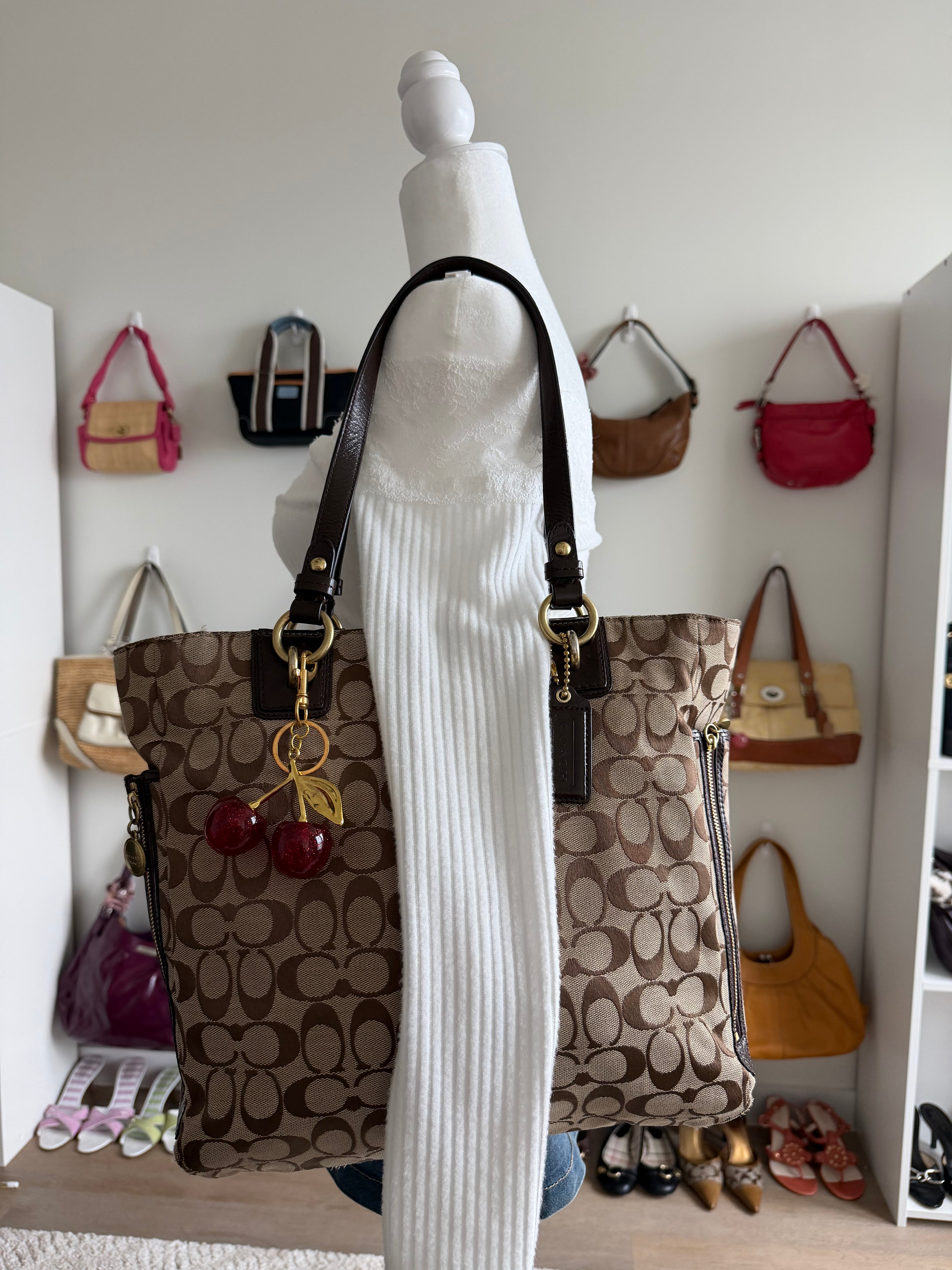 Coach Brown Signature Tote Bag