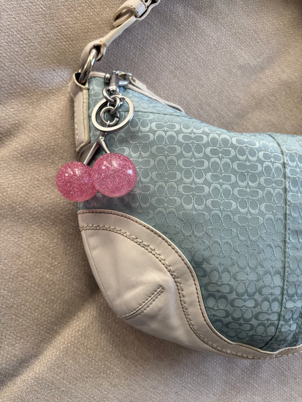 Coach Blue Signature Hobo