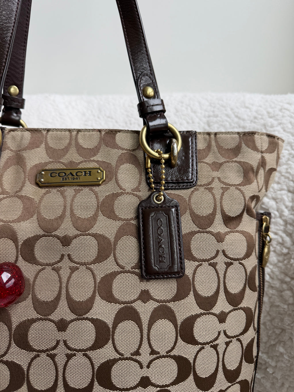 Coach Brown Signature Tote Bag