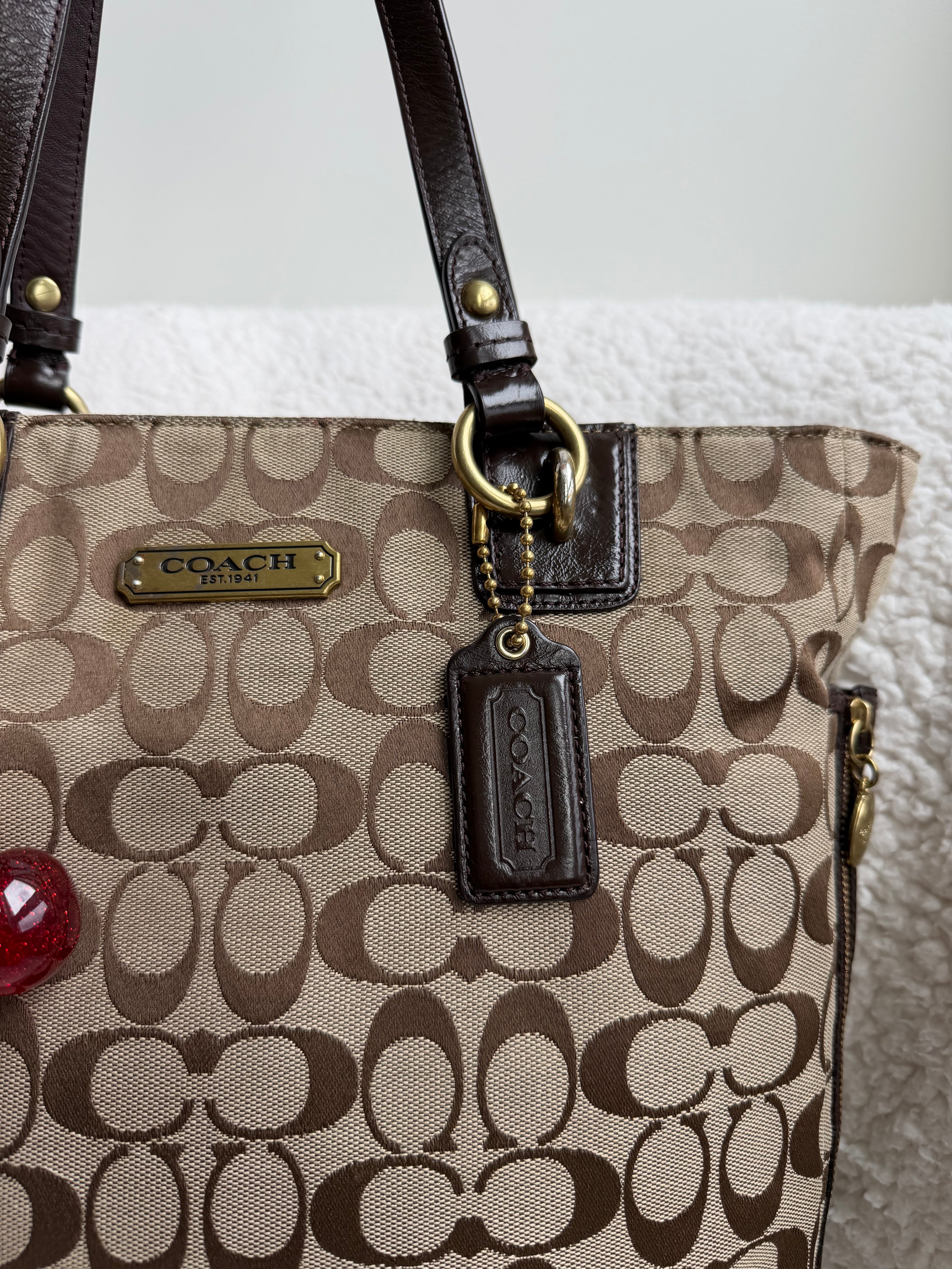 Coach Brown Signature Tote Bag