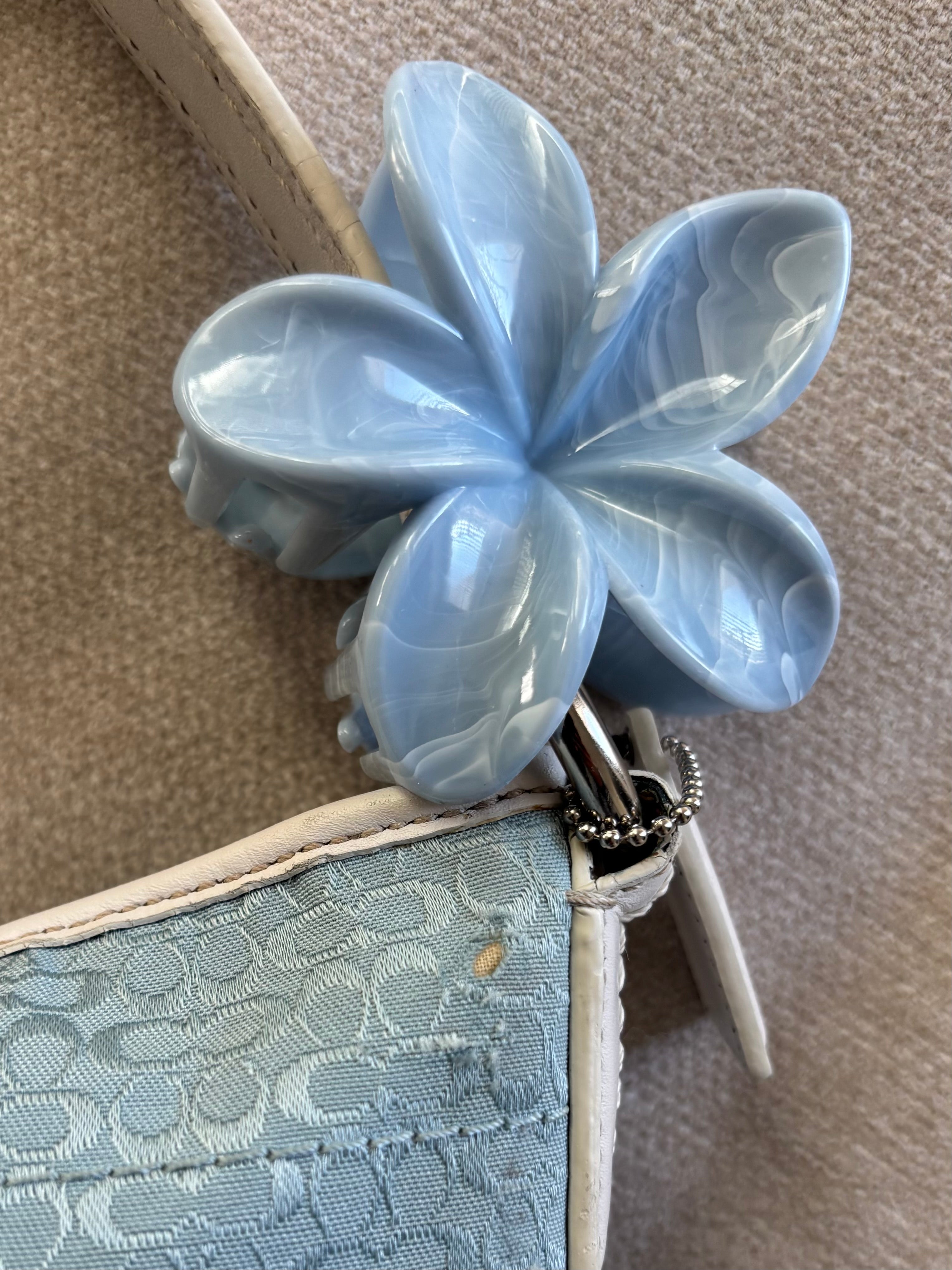 Coach Blue Signature Hobo