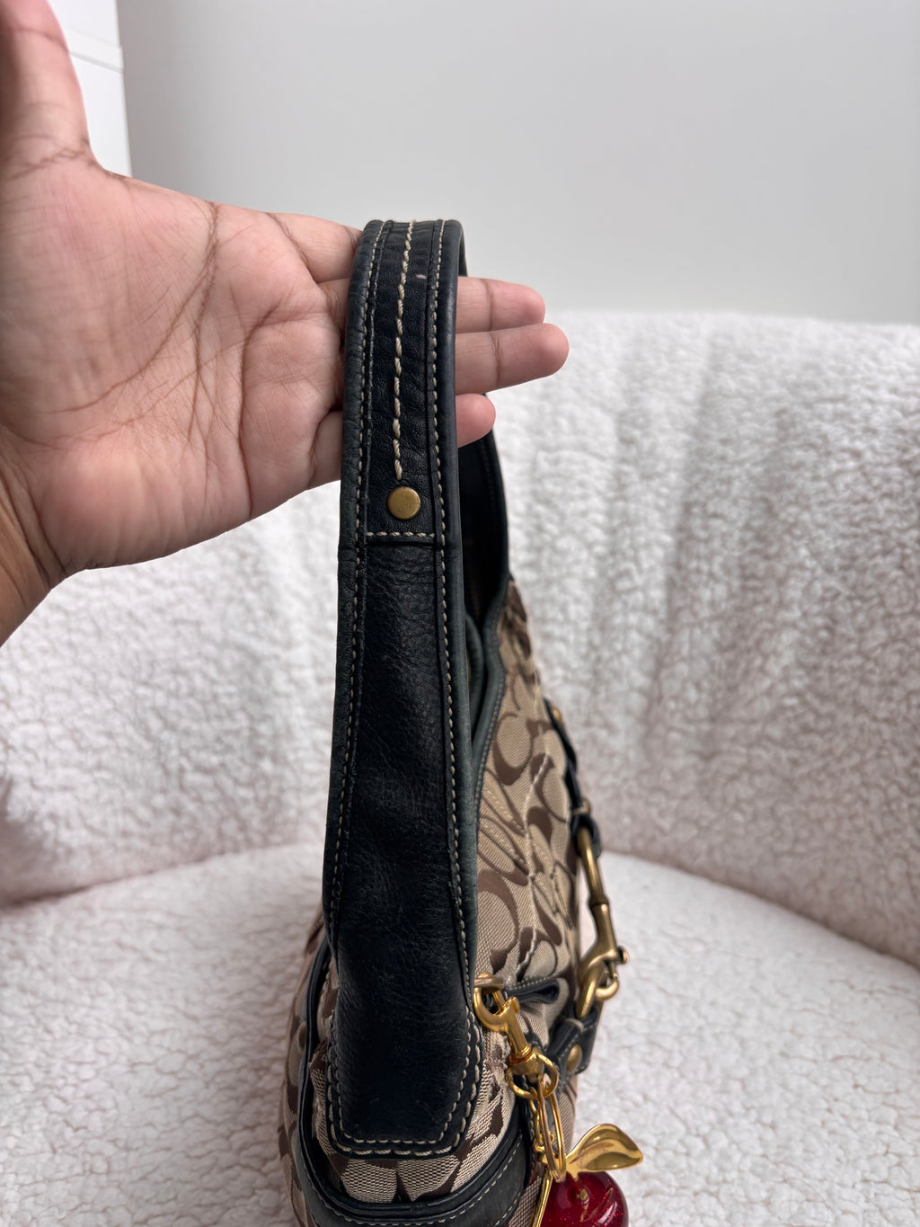 Coach Brown Signature Ergo Small