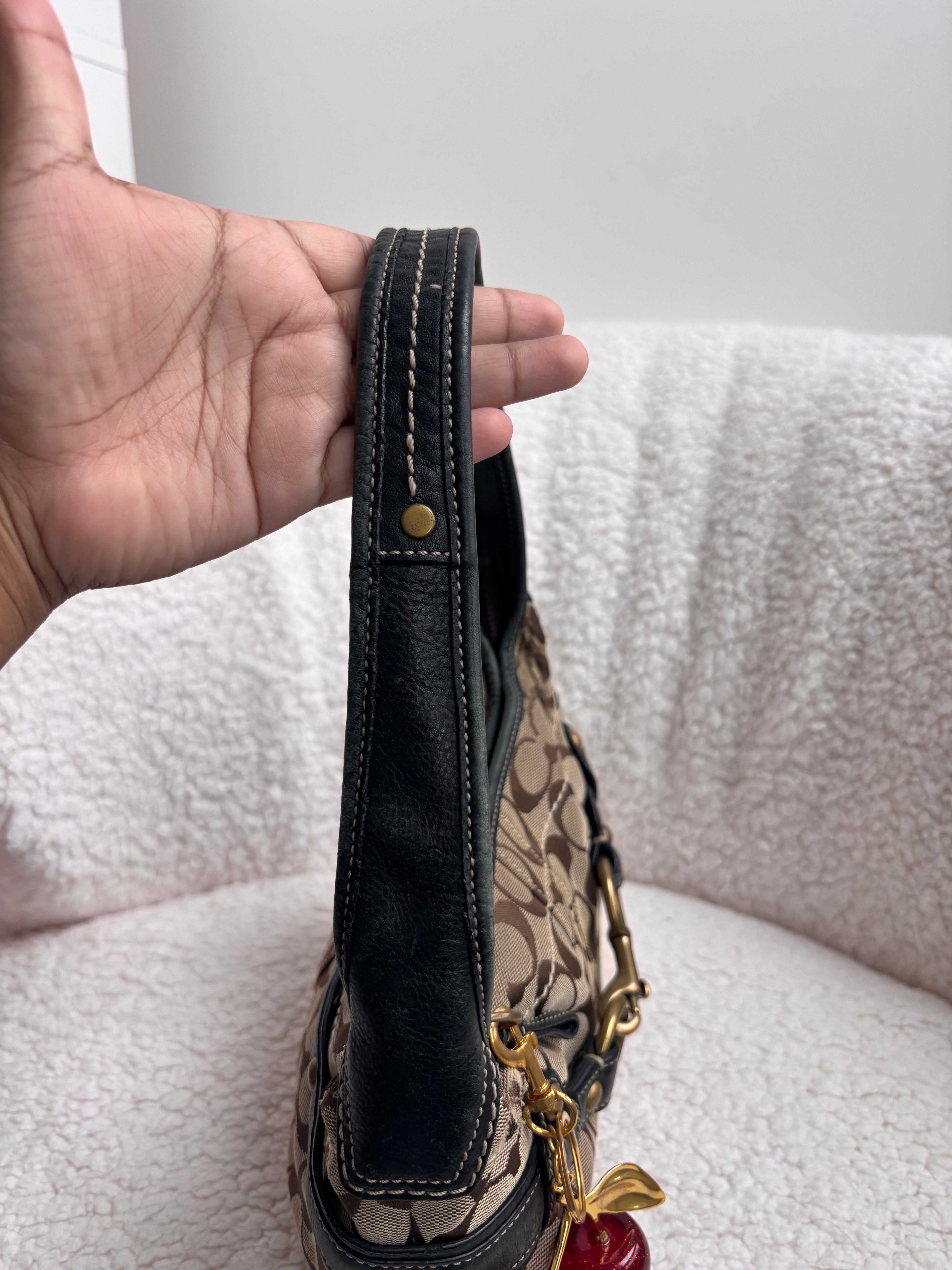 Coach Brown Signature Ergo Small