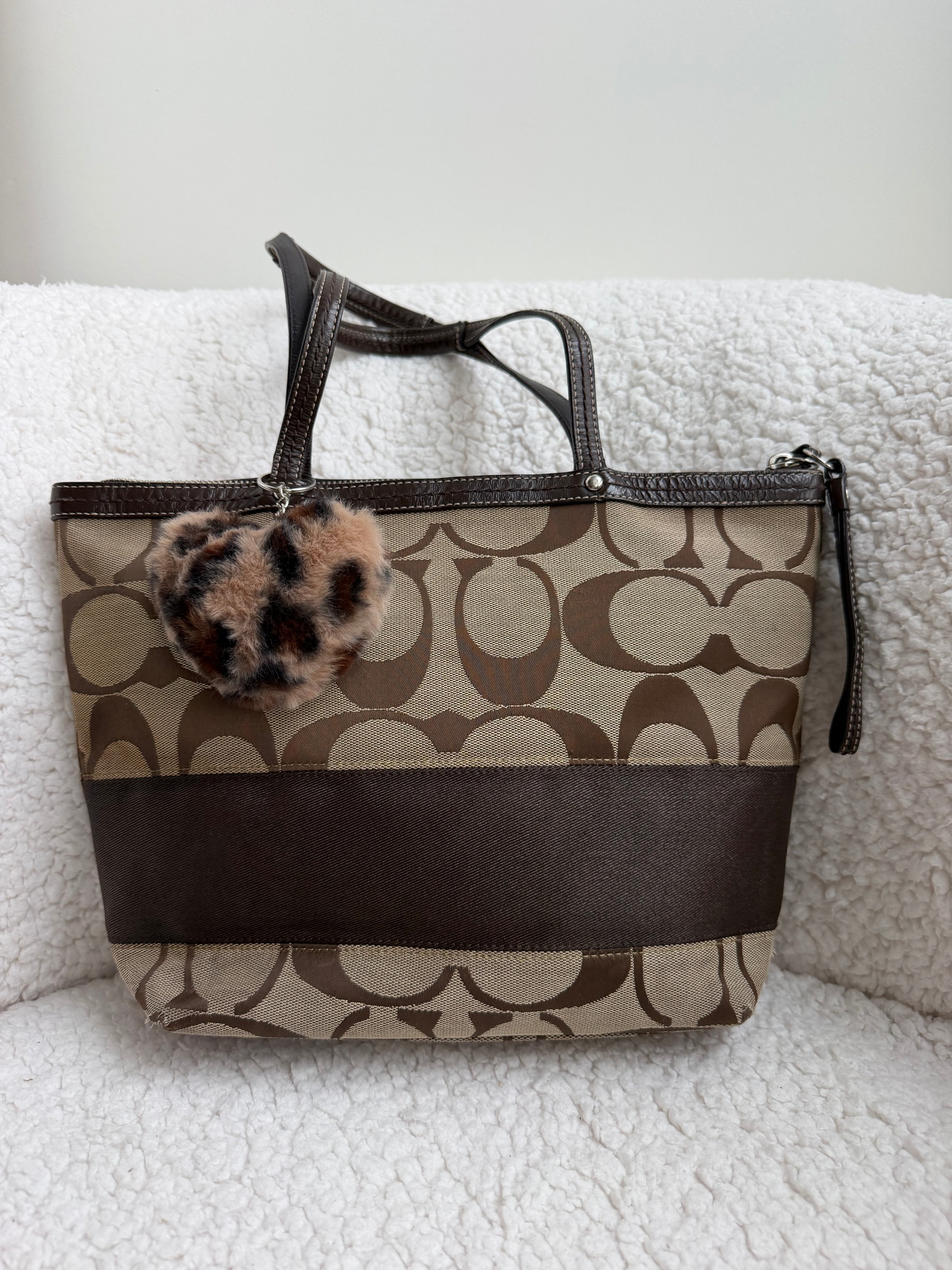 Coach Brown Striped Tote Bag