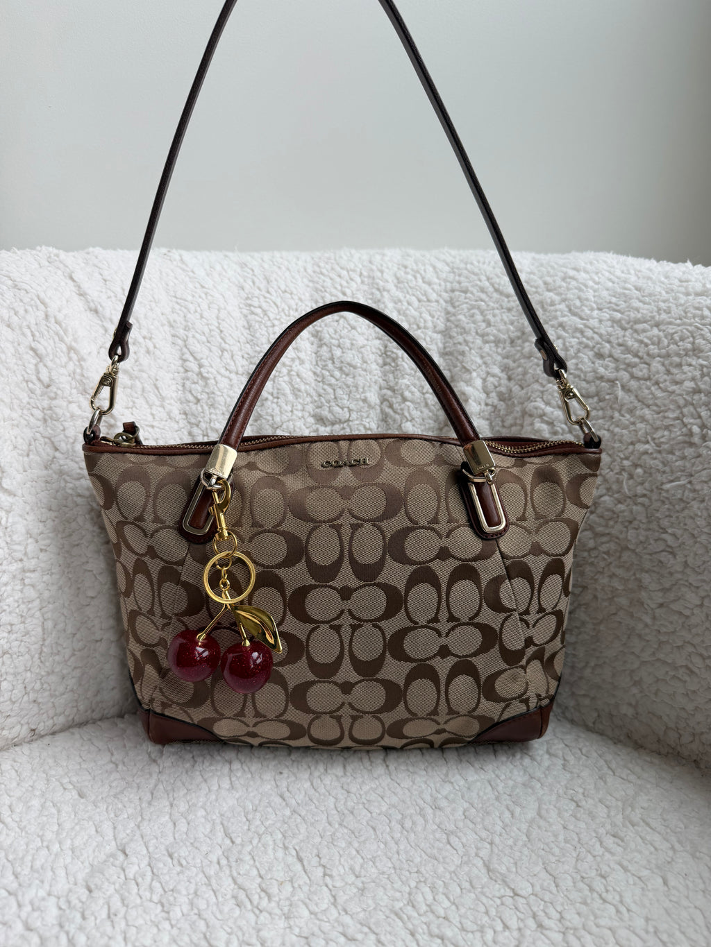 Coach Small Signature Satchel