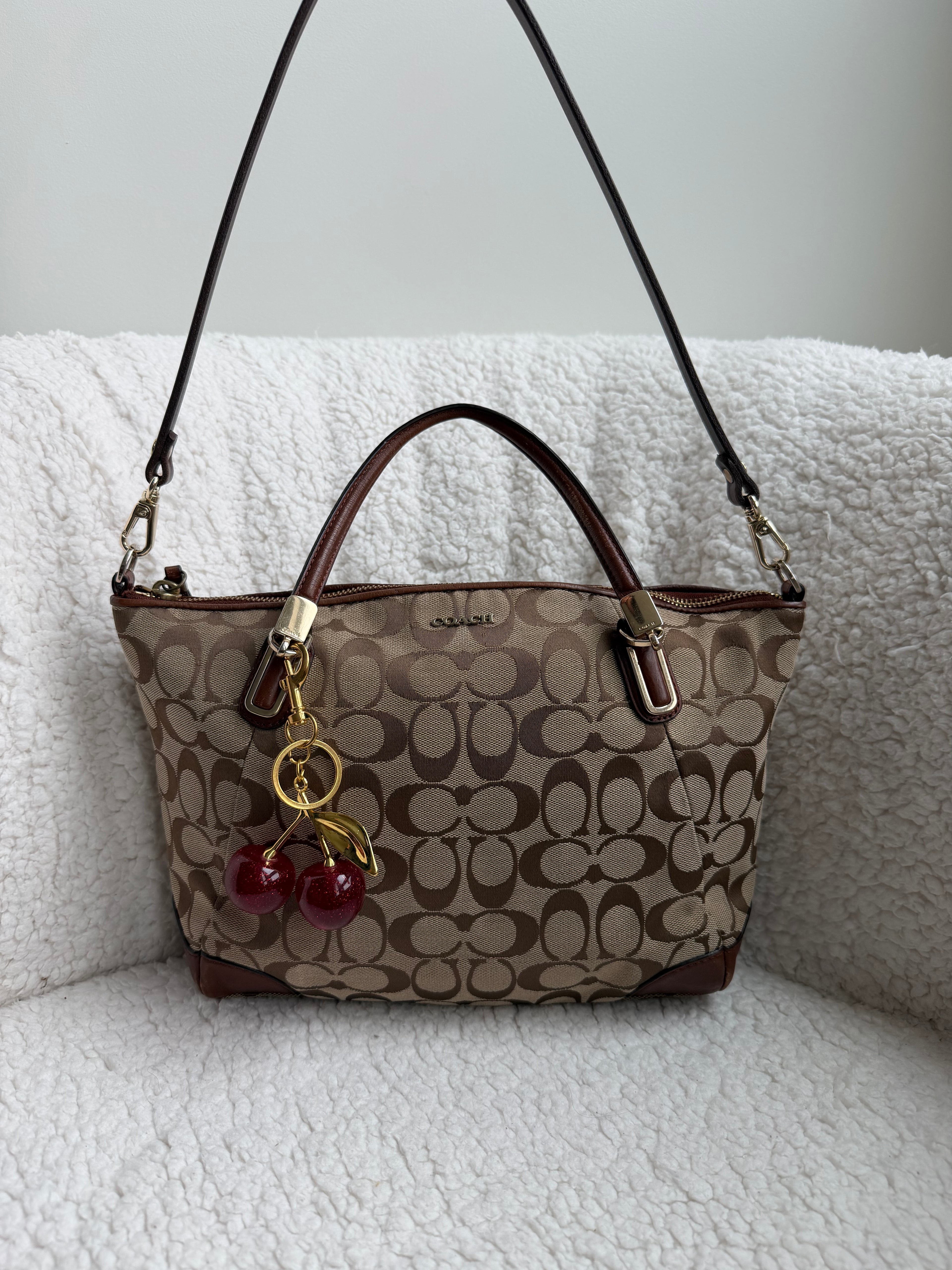 Coach Small Signature Satchel